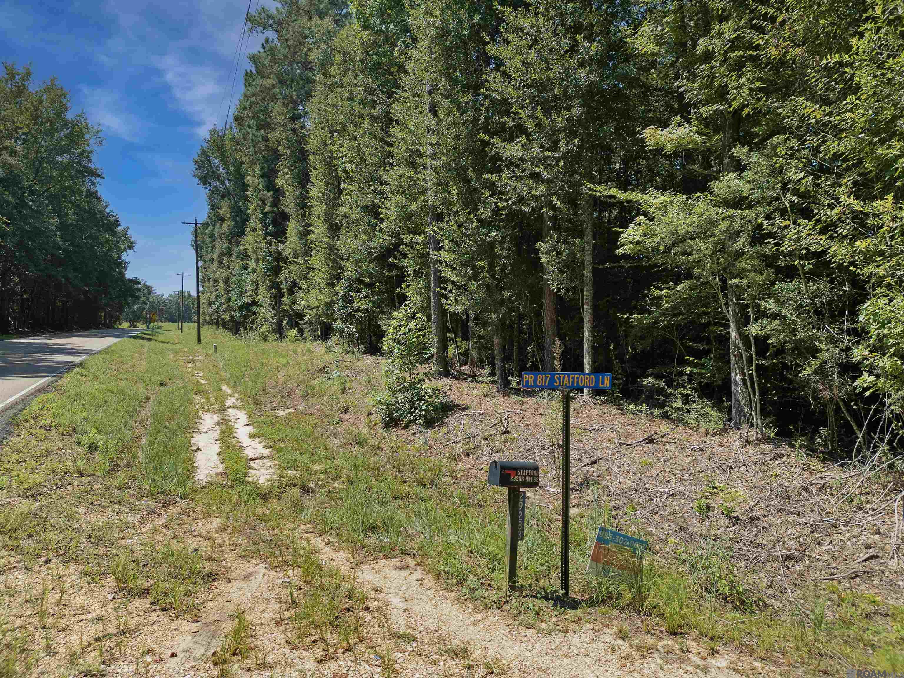 Lot 6 Hwy 62, Franklinton, Louisiana image 4