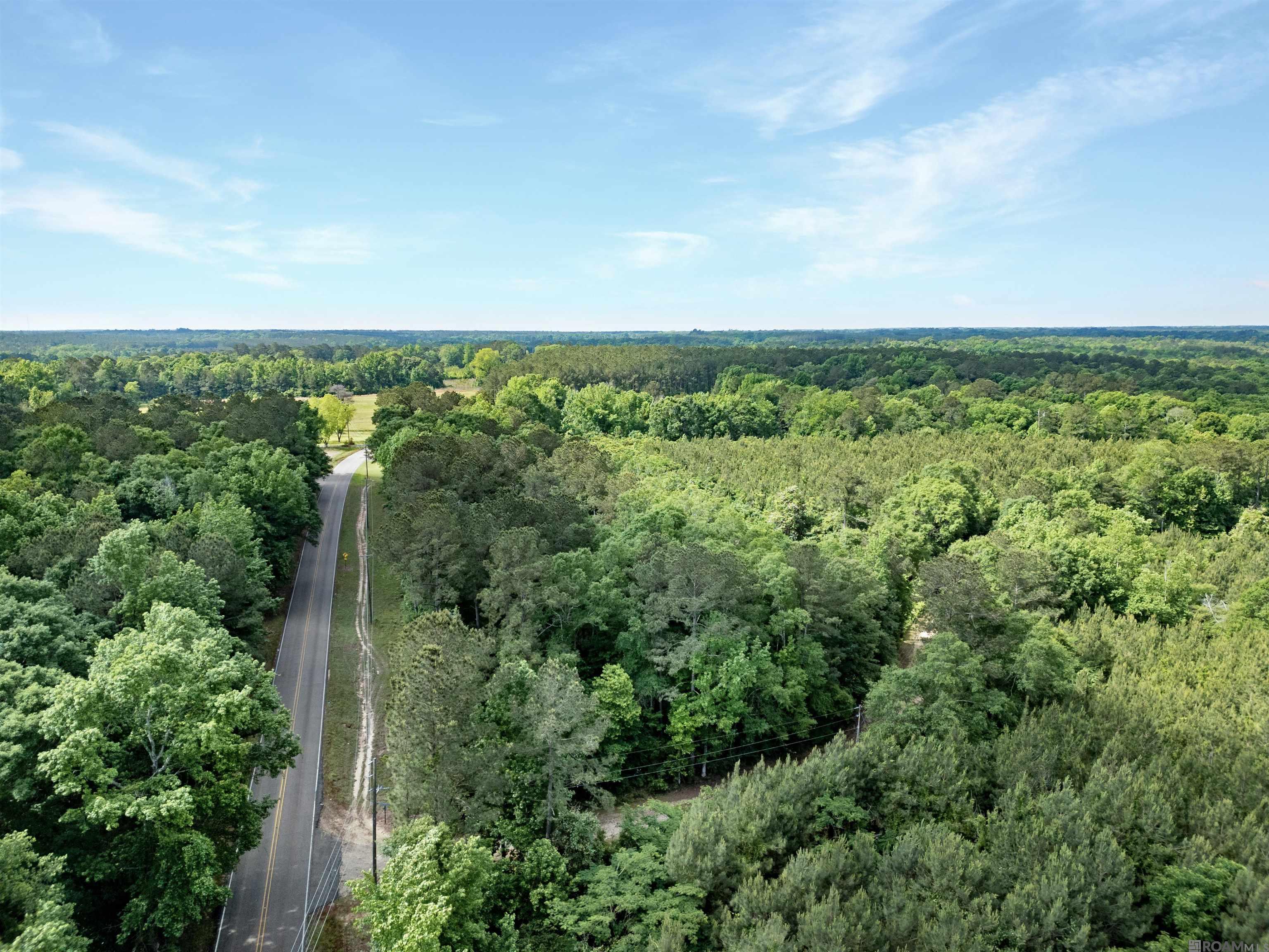 Lot 6 Hwy 62, Franklinton, Louisiana image 12