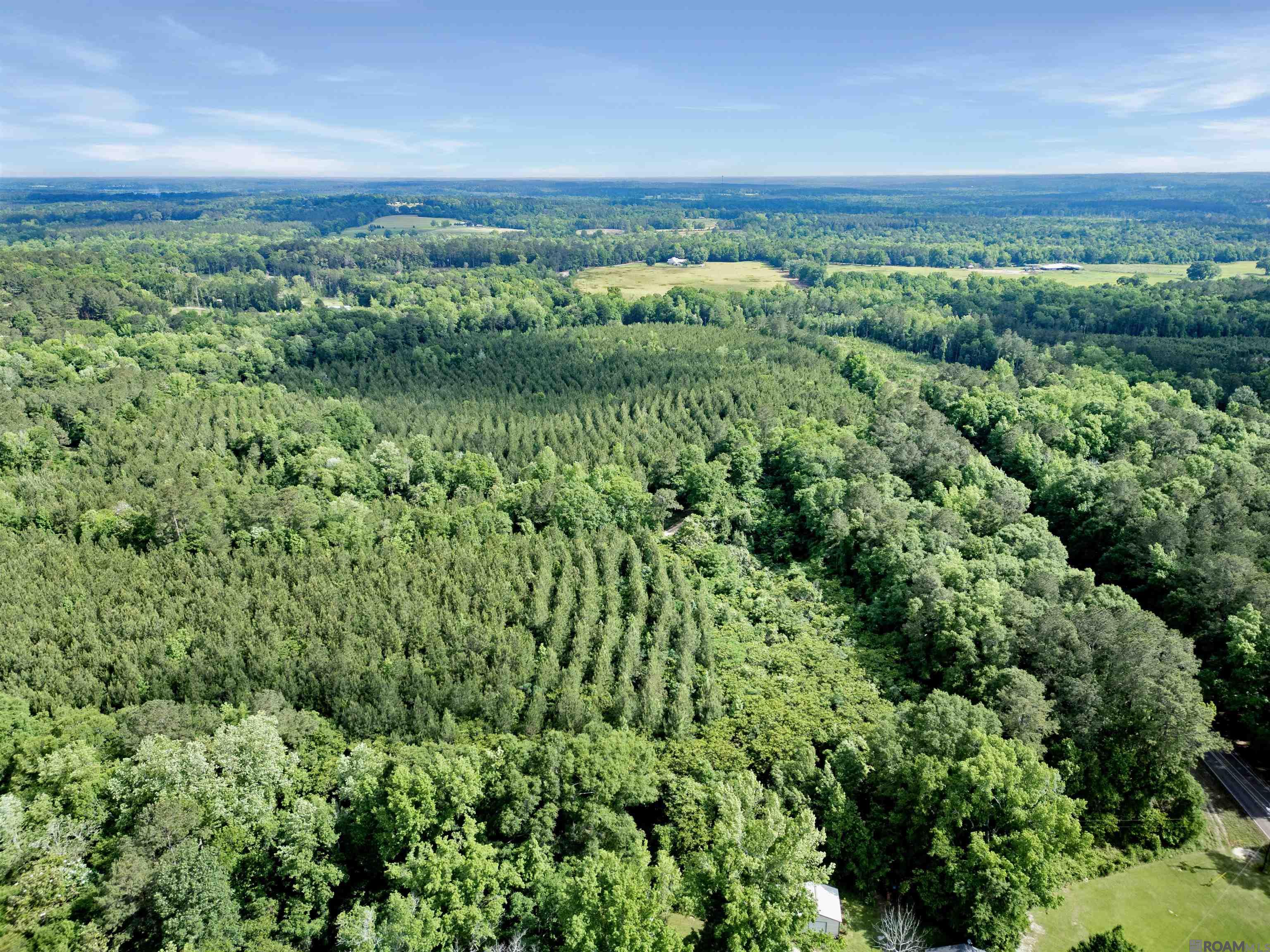 Lot 6 Hwy 62, Franklinton, Louisiana image 8