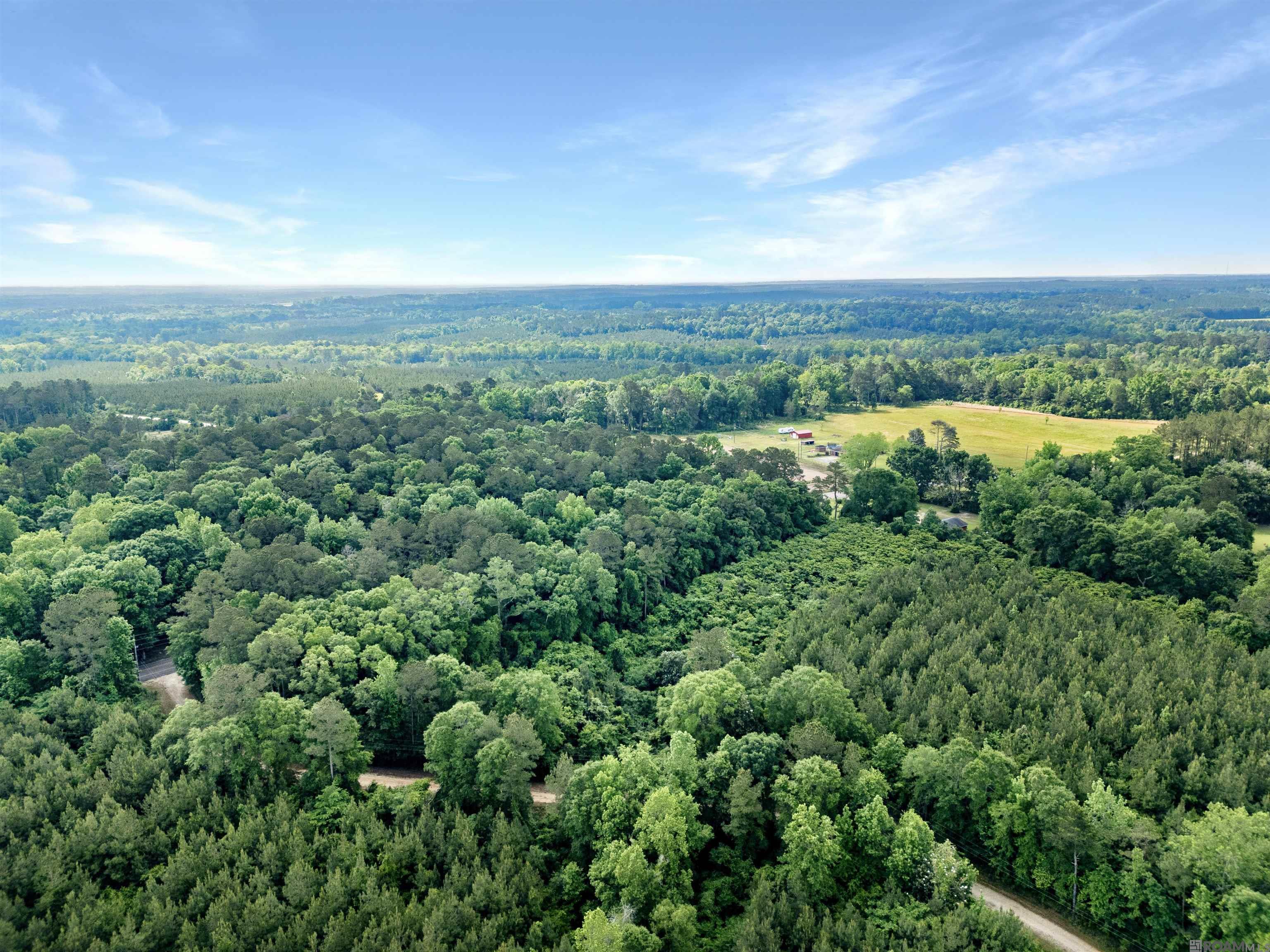 Lot 6 Hwy 62, Franklinton, Louisiana image 10