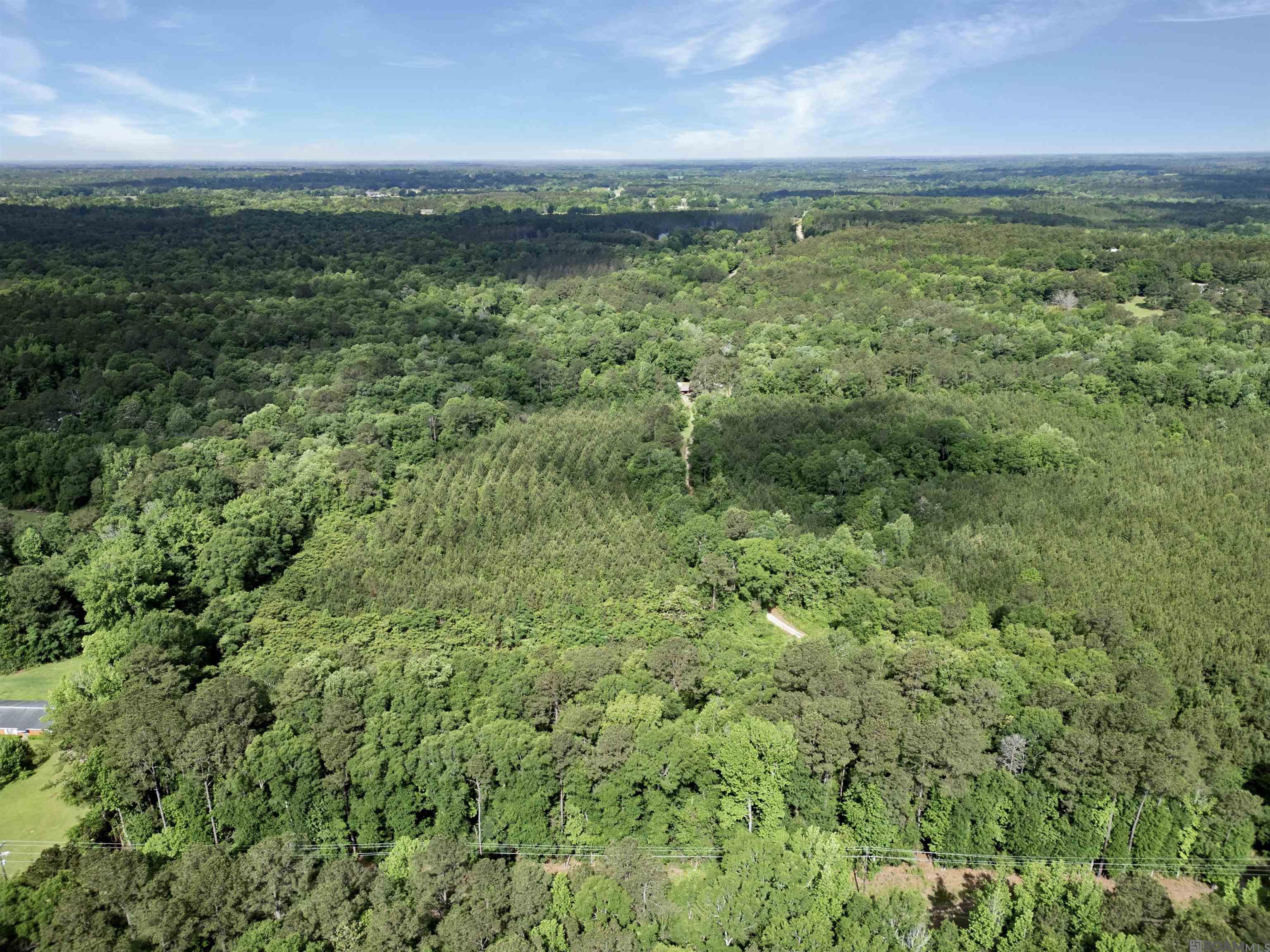 Lot 6 Hwy 62, Franklinton, Louisiana image 11