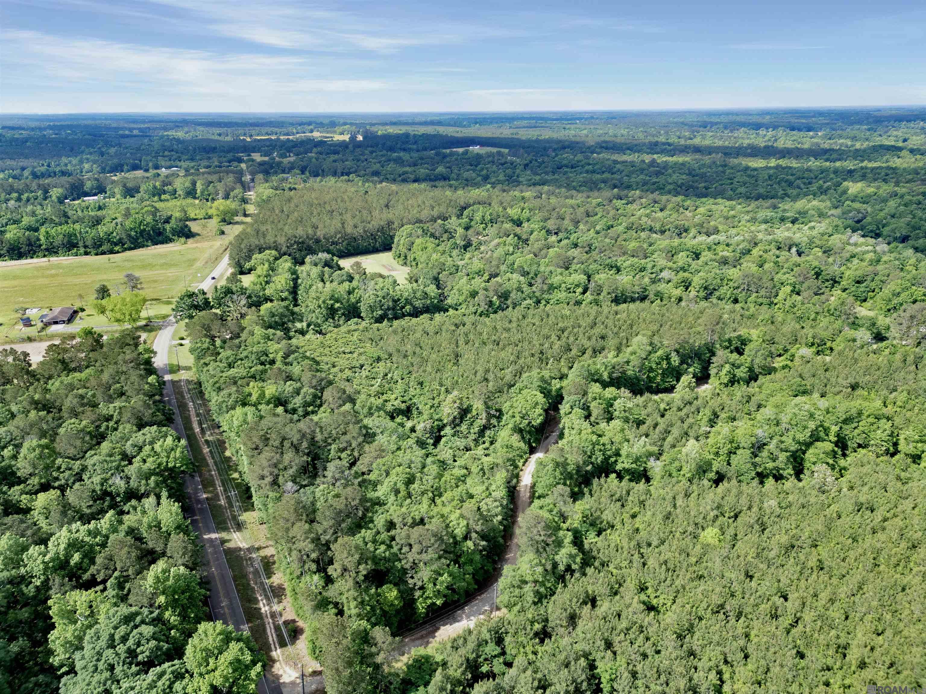 Lot 6 Hwy 62, Franklinton, Louisiana image 1