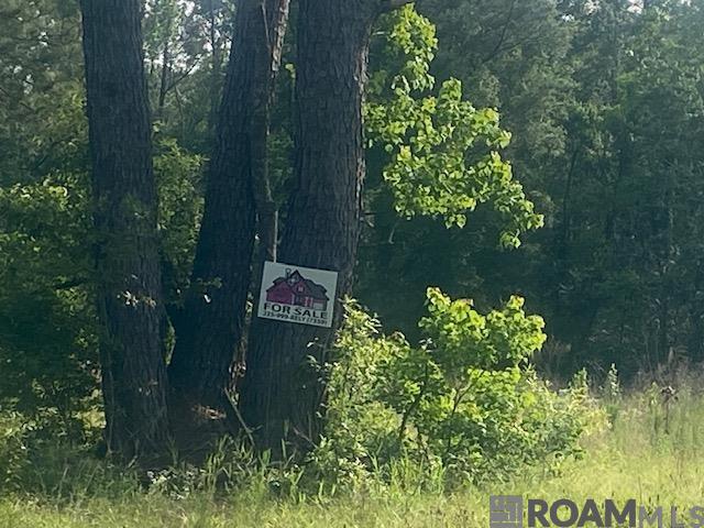 61199 Hwy 1046, Amite, Louisiana image 4