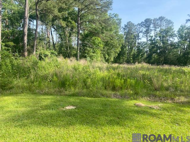 61199 Hwy 1046, Amite, Louisiana image 1