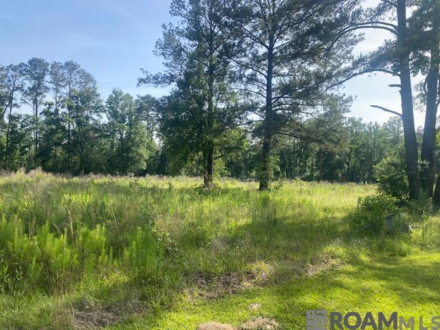 61199 Hwy 1046, Amite, Louisiana image 2