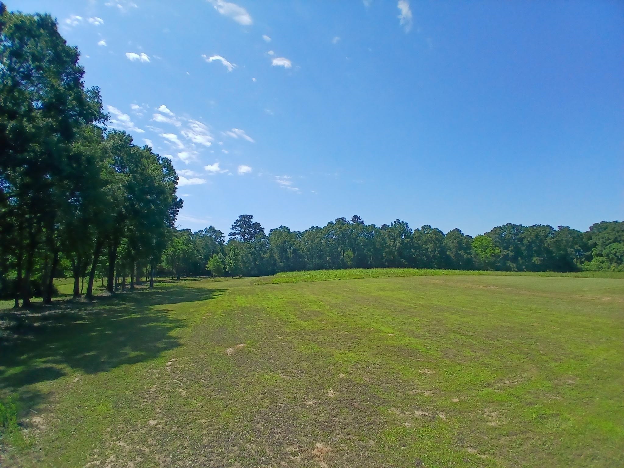38090 Emmett Carter Road, Mount Hermon, Louisiana image 11
