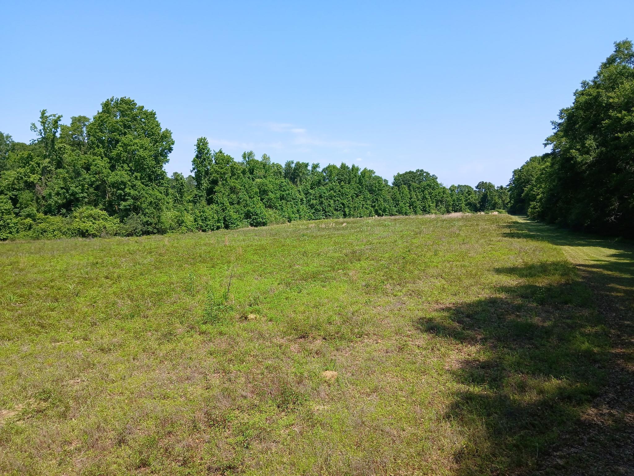 38090 Emmett Carter Road, Mount Hermon, Louisiana image 8