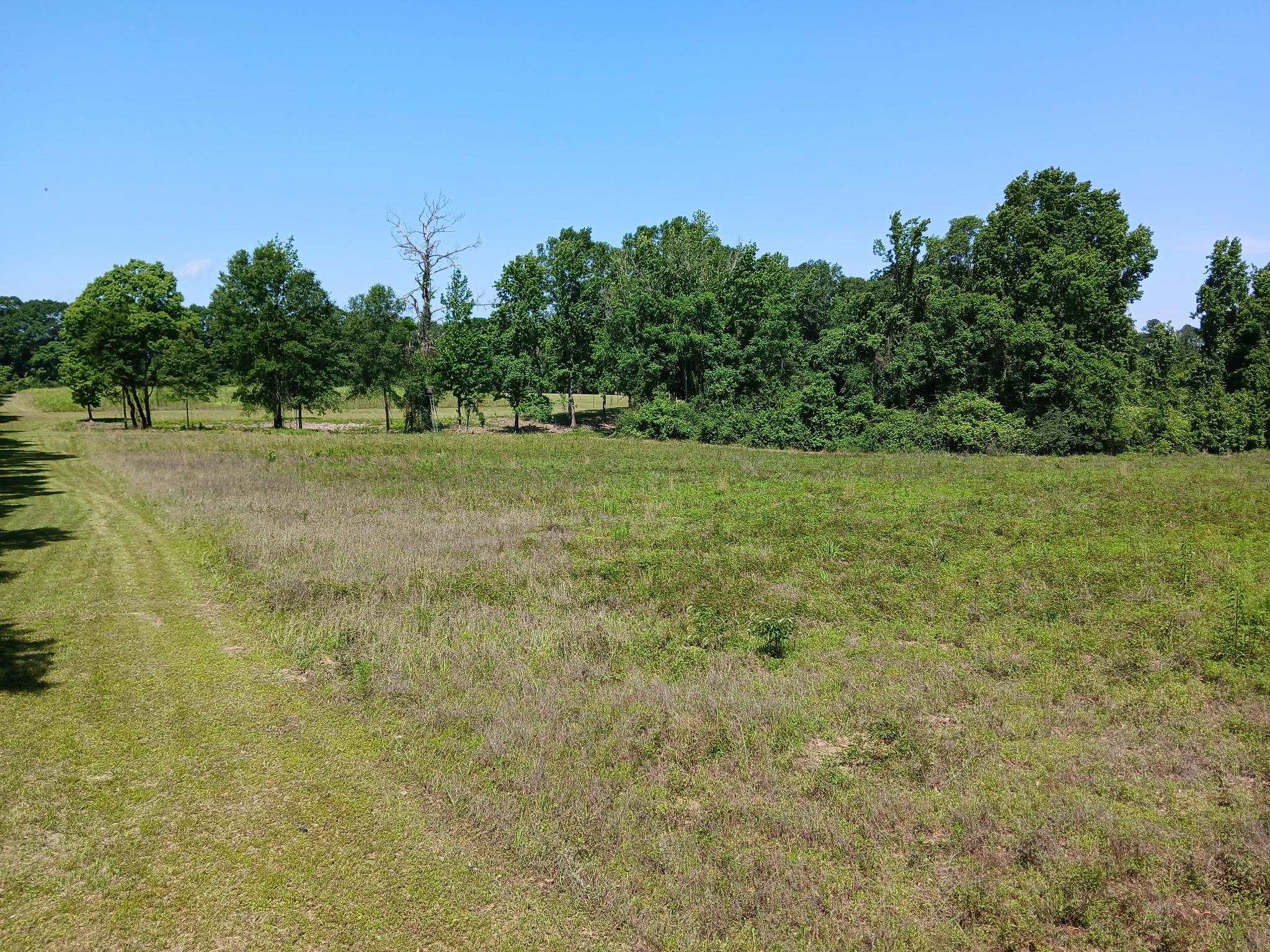 38090 Emmett Carter Road, Mount Hermon, Louisiana image 6