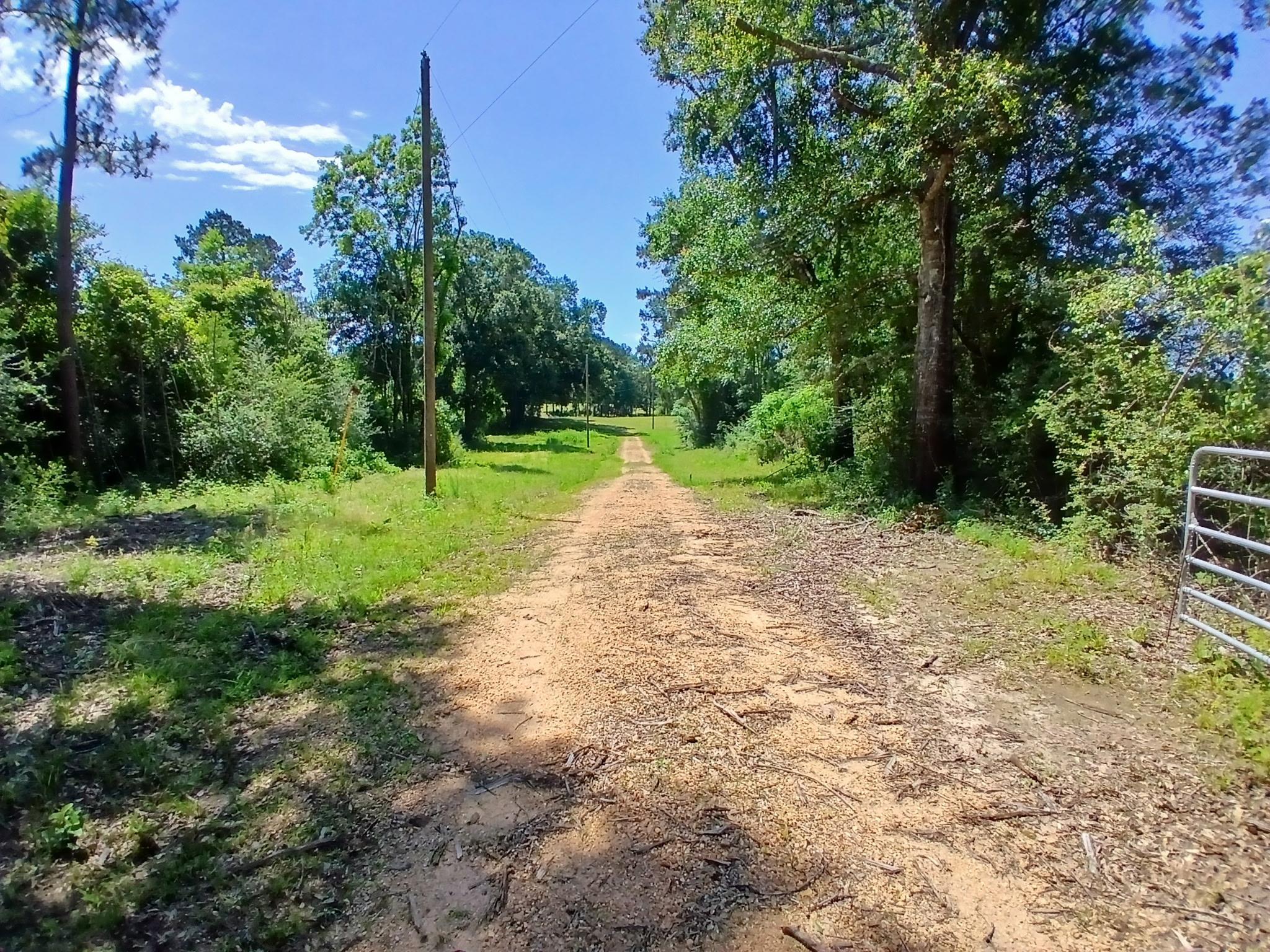 38090 Emmett Carter Road, Mount Hermon, Louisiana image 4