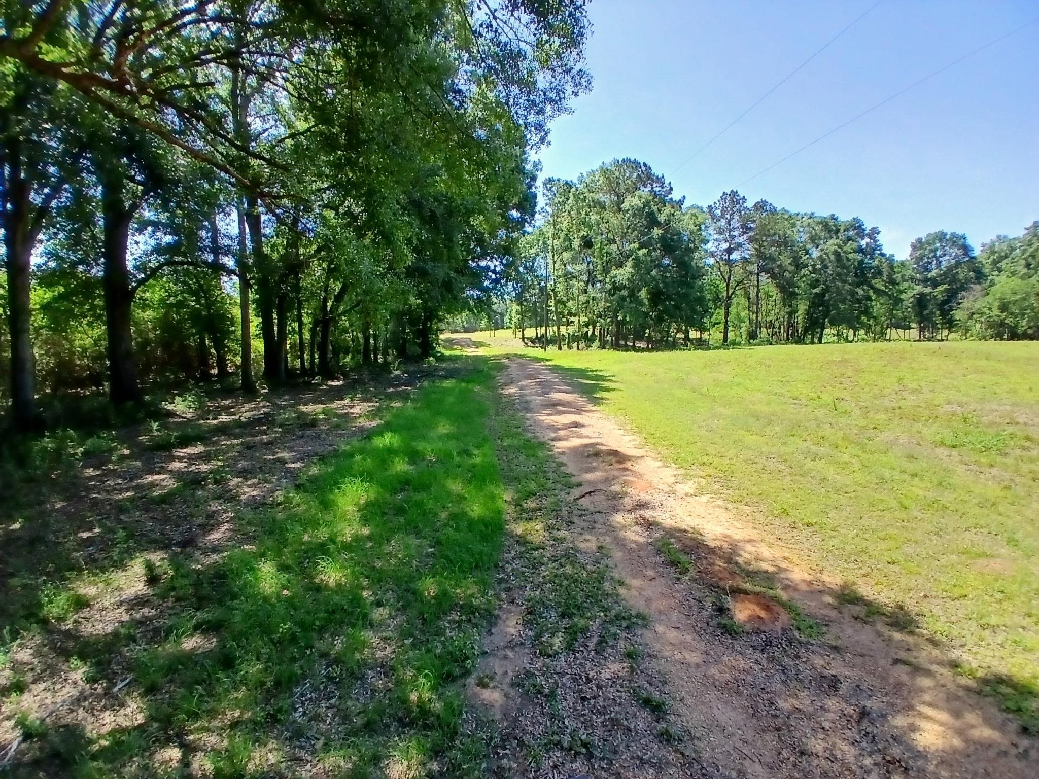 38090 Emmett Carter Road, Mount Hermon, Louisiana image 3