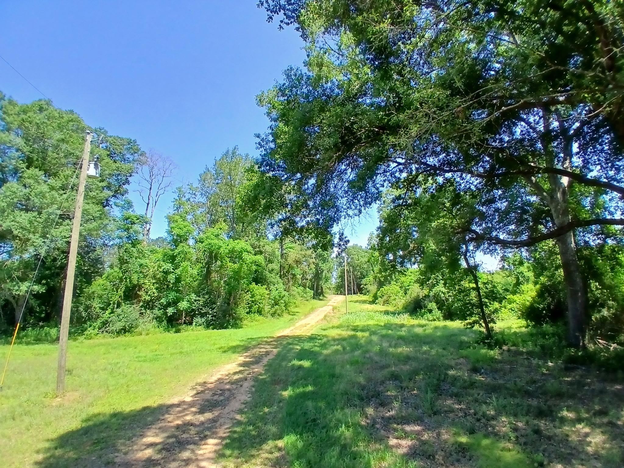 38090 Emmett Carter Road, Mount Hermon, Louisiana image 2