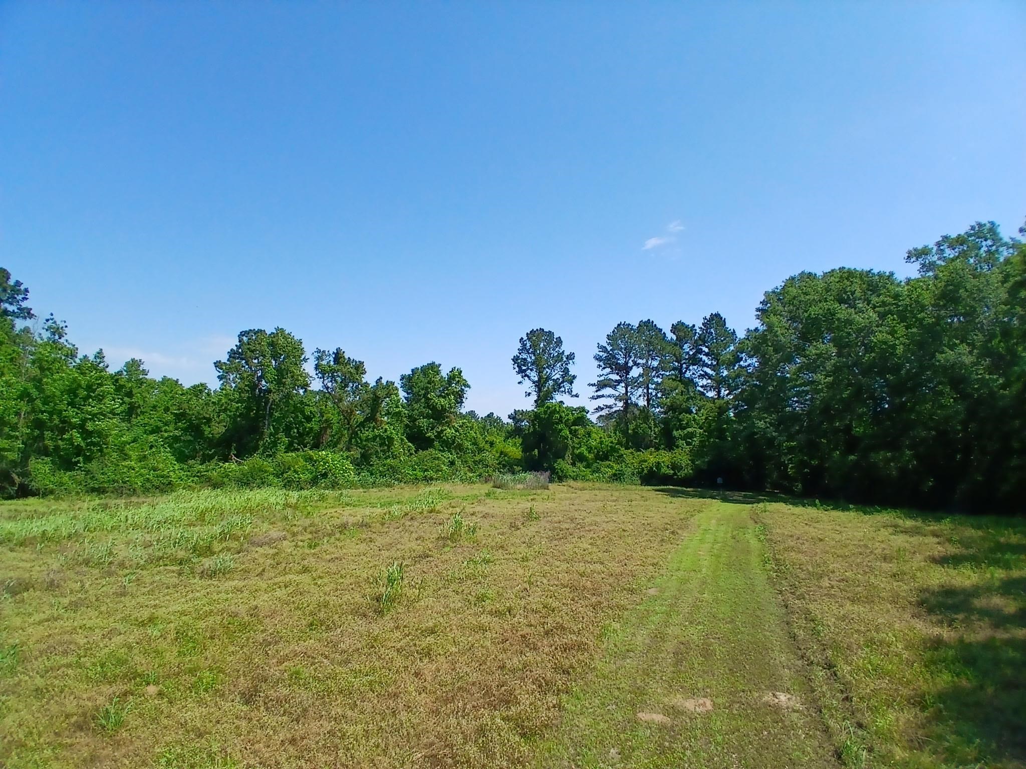 38090 Emmett Carter Road, Mount Hermon, Louisiana image 7