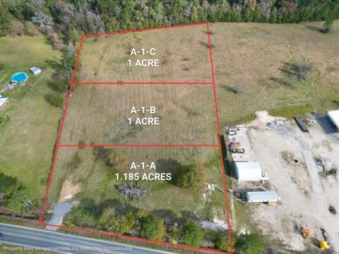 Vacant Land For Sale - A-1-C Walker South Rd<br/> Walker, LA 70785