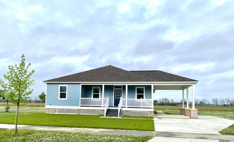 Homes For Sale - 8842 Heron Way<br/> Pointe Coupee County, New Roads, LA 70760