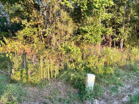 Vacant Land For Sale - TBA 1-C La Hwy 431 Ln<br/> Ascension County, Prairieville, LA 70769