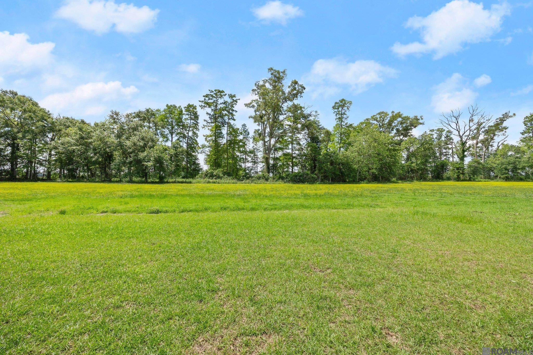 3686 Waterbury Ave, Baton Rouge, Louisiana image 36