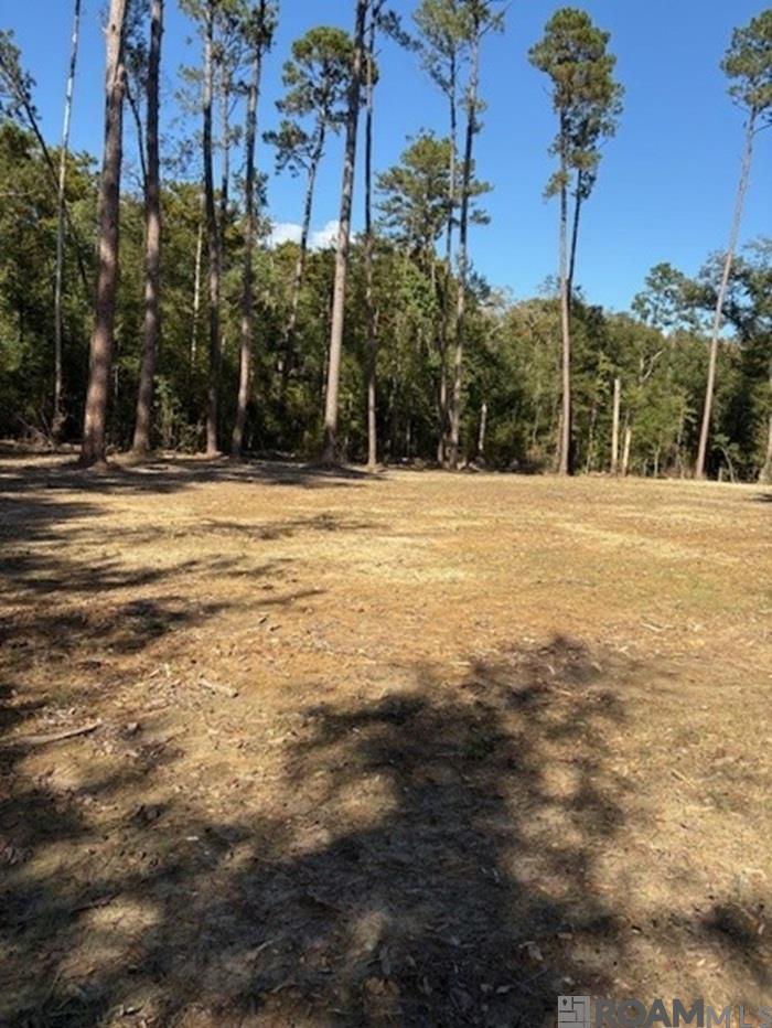 24063 La Hwy 22 Highway