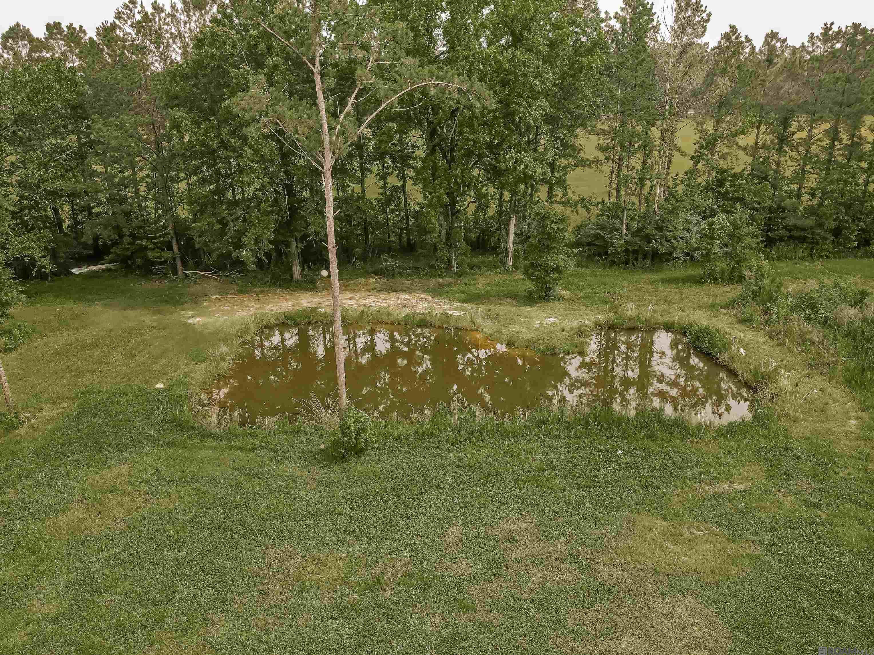 470 Lemon B Rd, Slaughter, Louisiana image 37