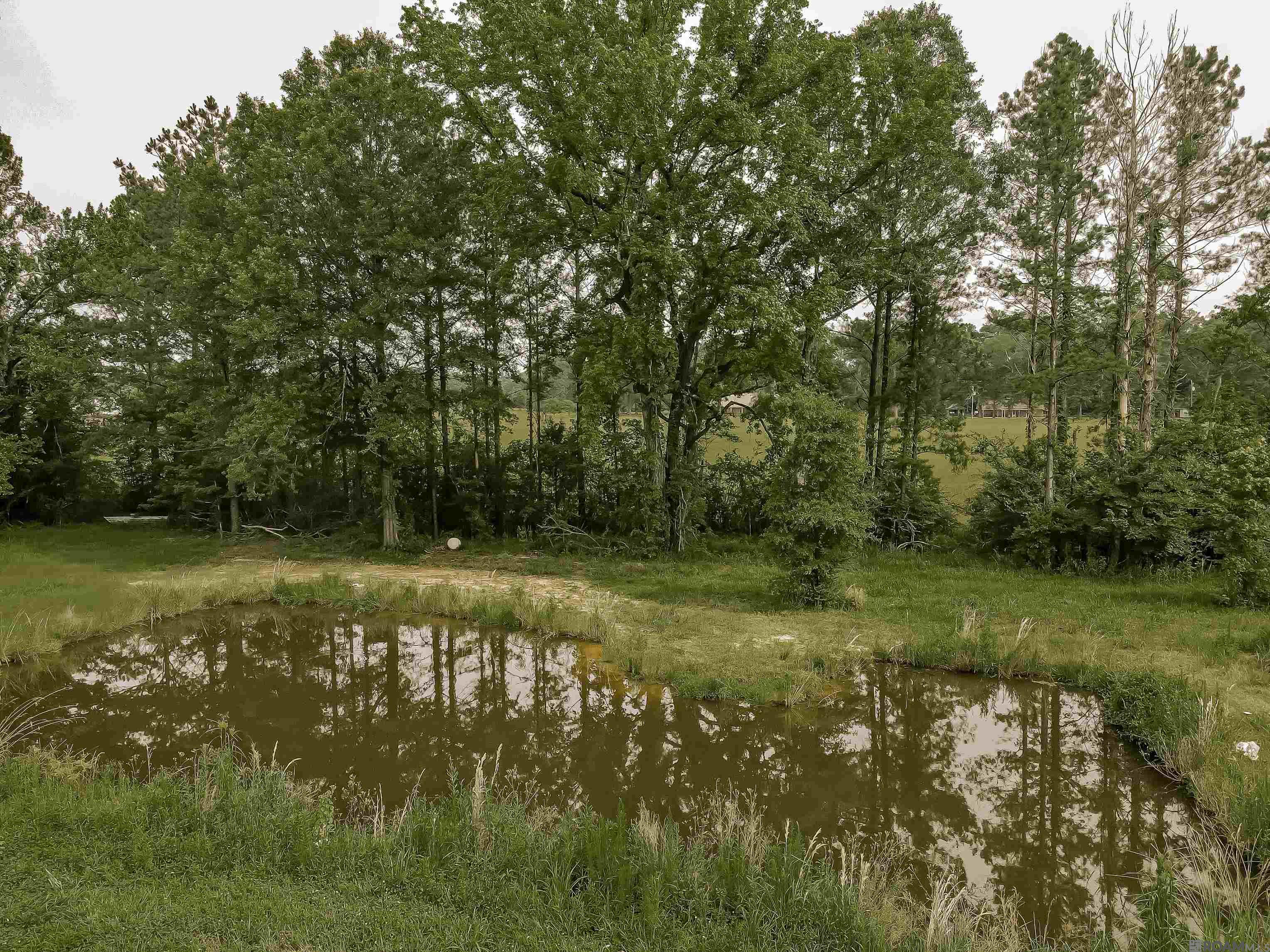 470 Lemon B Rd, Slaughter, Louisiana image 38