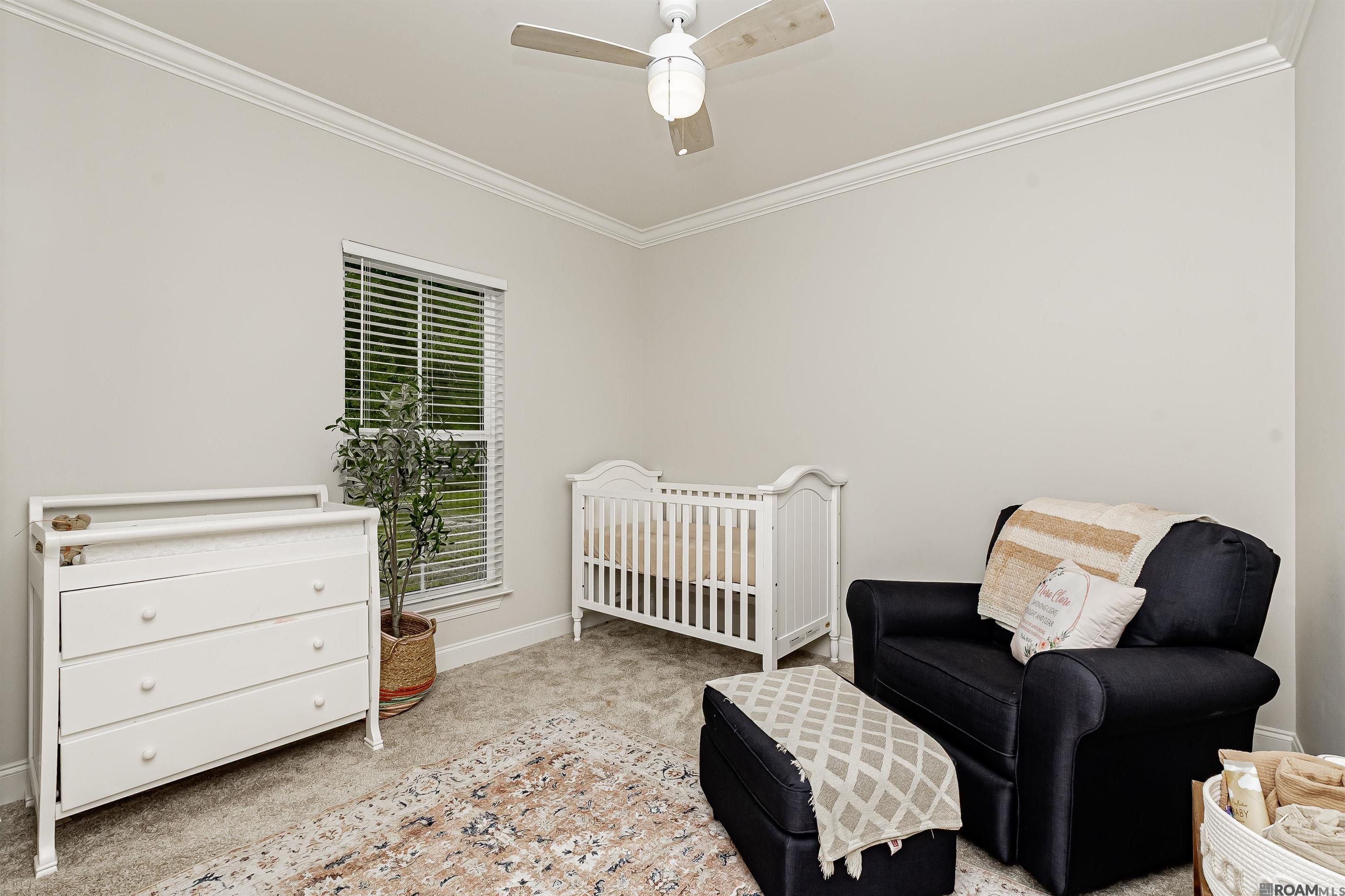 470 Lemon B Rd, Slaughter, Louisiana image 23