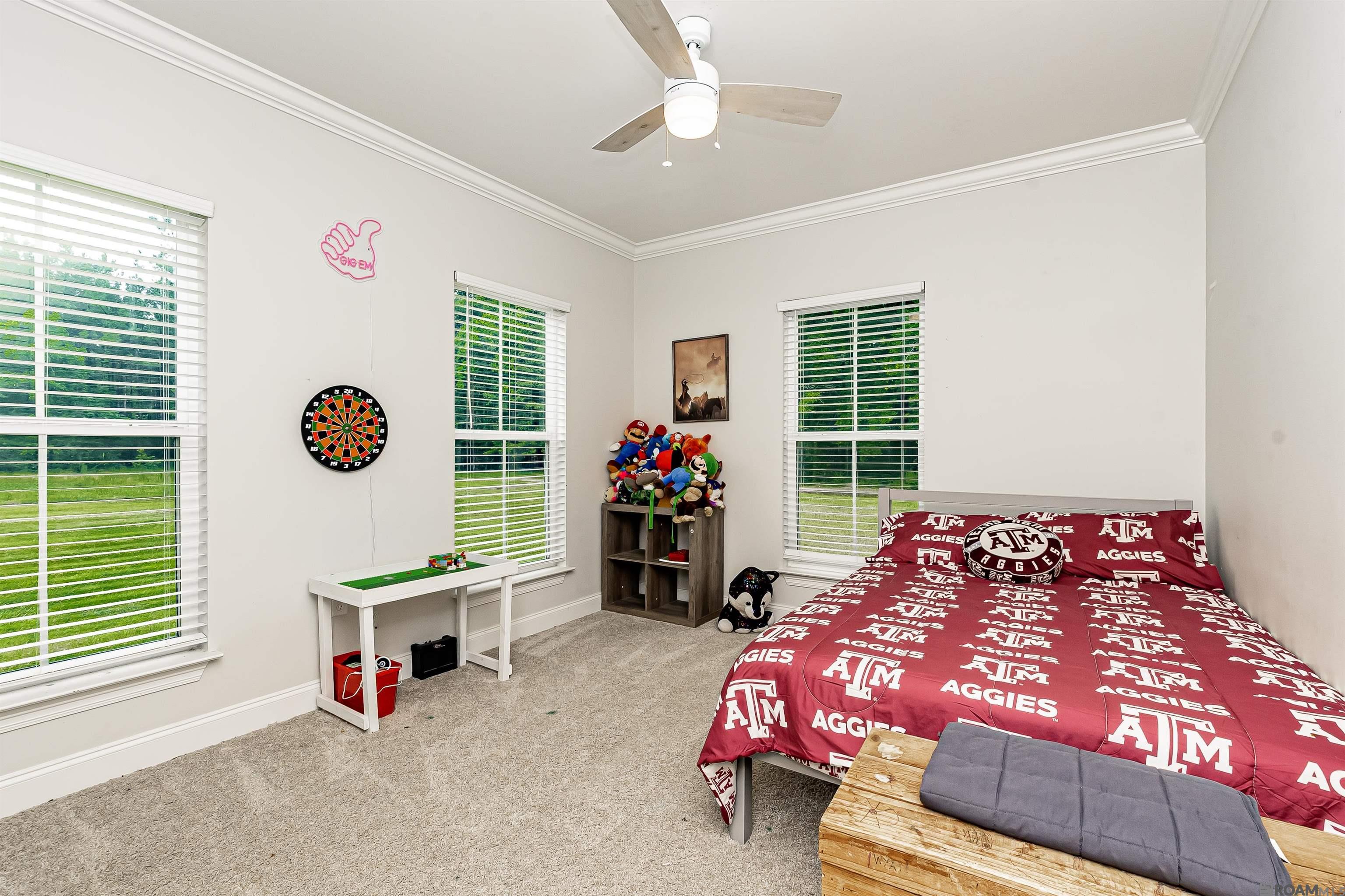 470 Lemon B Rd, Slaughter, Louisiana image 26