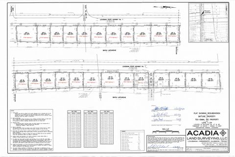 Vacant Land For Sale - 3780 Highway 1<br/> Napoleonville, LA 70390