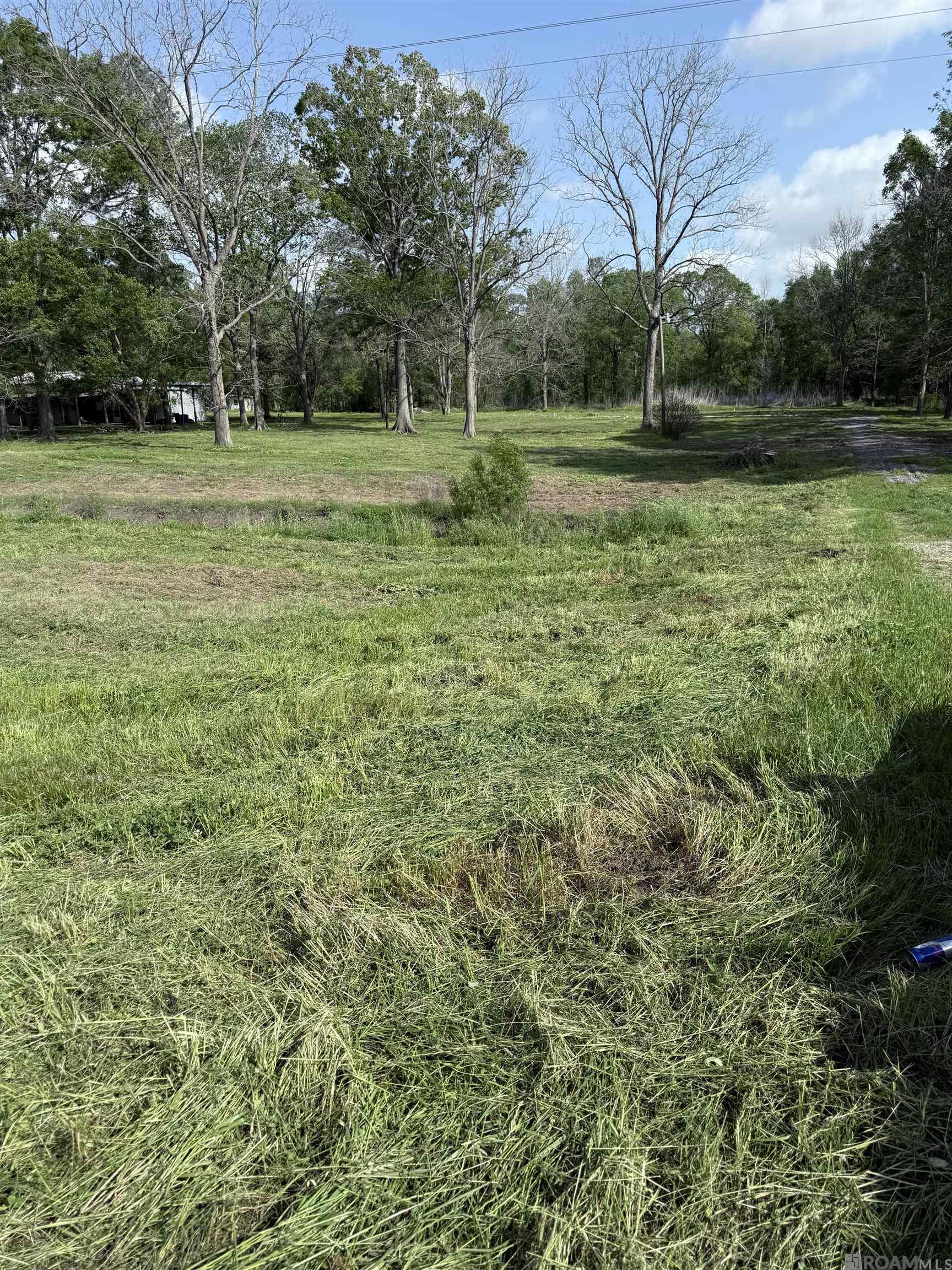 10899 Us Hwy 190 Hwy, Oscar, Louisiana image 4