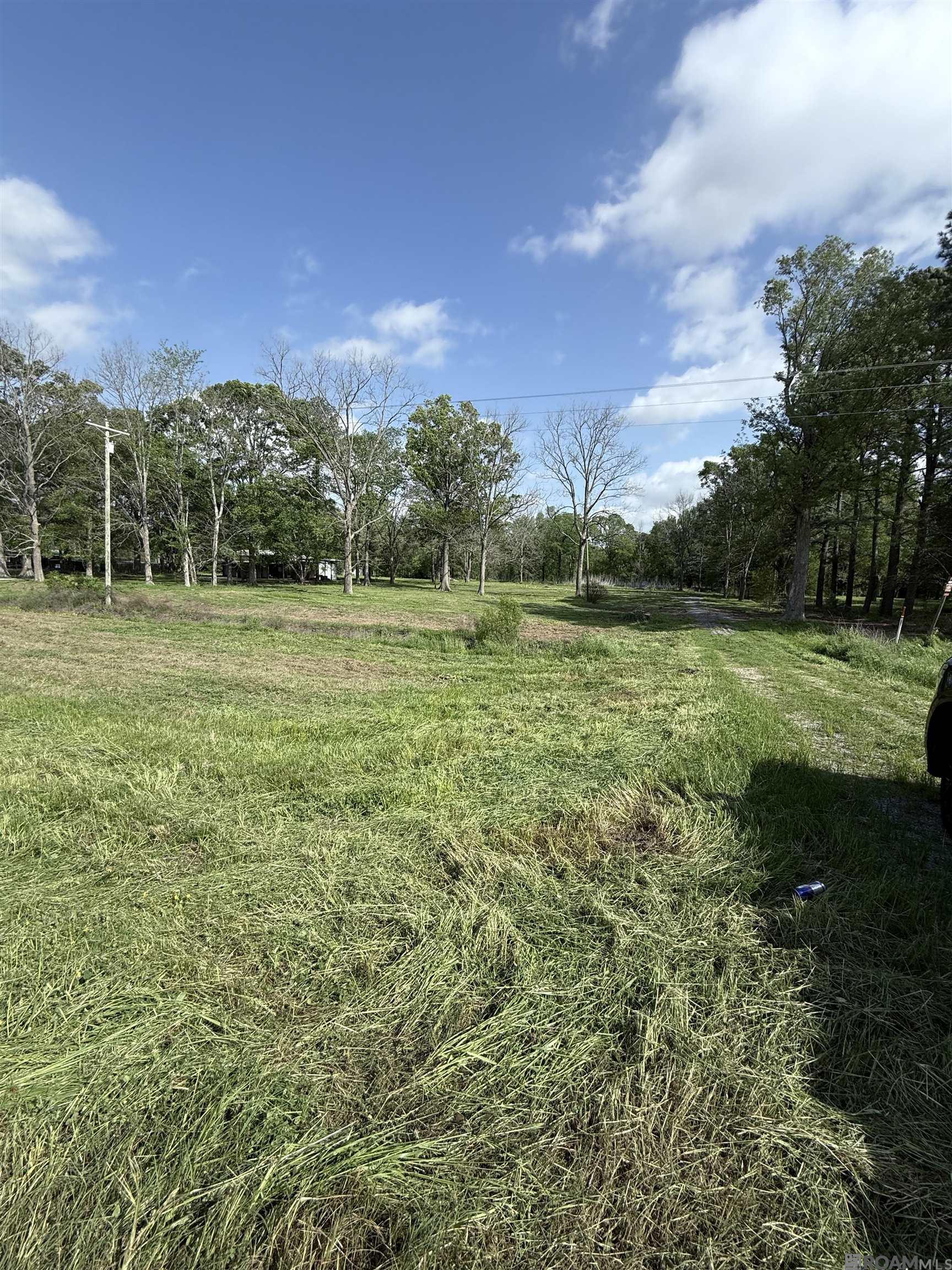 10899 Us Hwy 190 Hwy, Oscar, Louisiana image 3