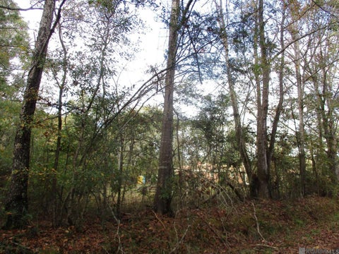 Vacant Land For Sale - LOT B Perkins Rd<br/> East Feliciana County, Norwood, LA 70761