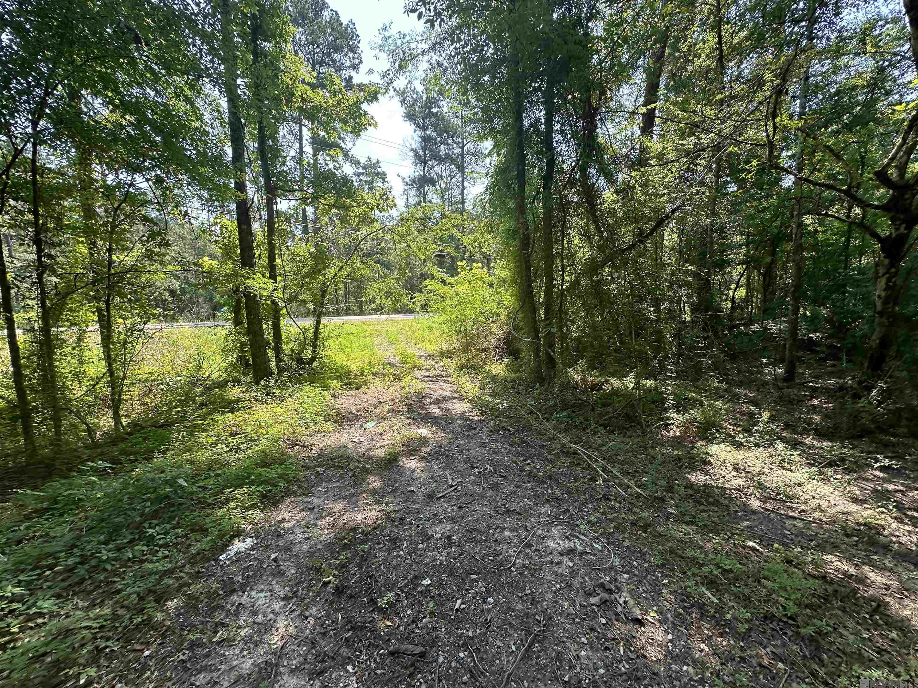 6.31 Acres La Hwy 1036, Holden, Louisiana image 20