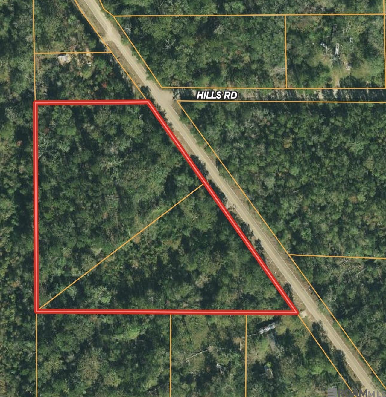 6.31 Acres La Hwy 1036, Holden, Louisiana image 4