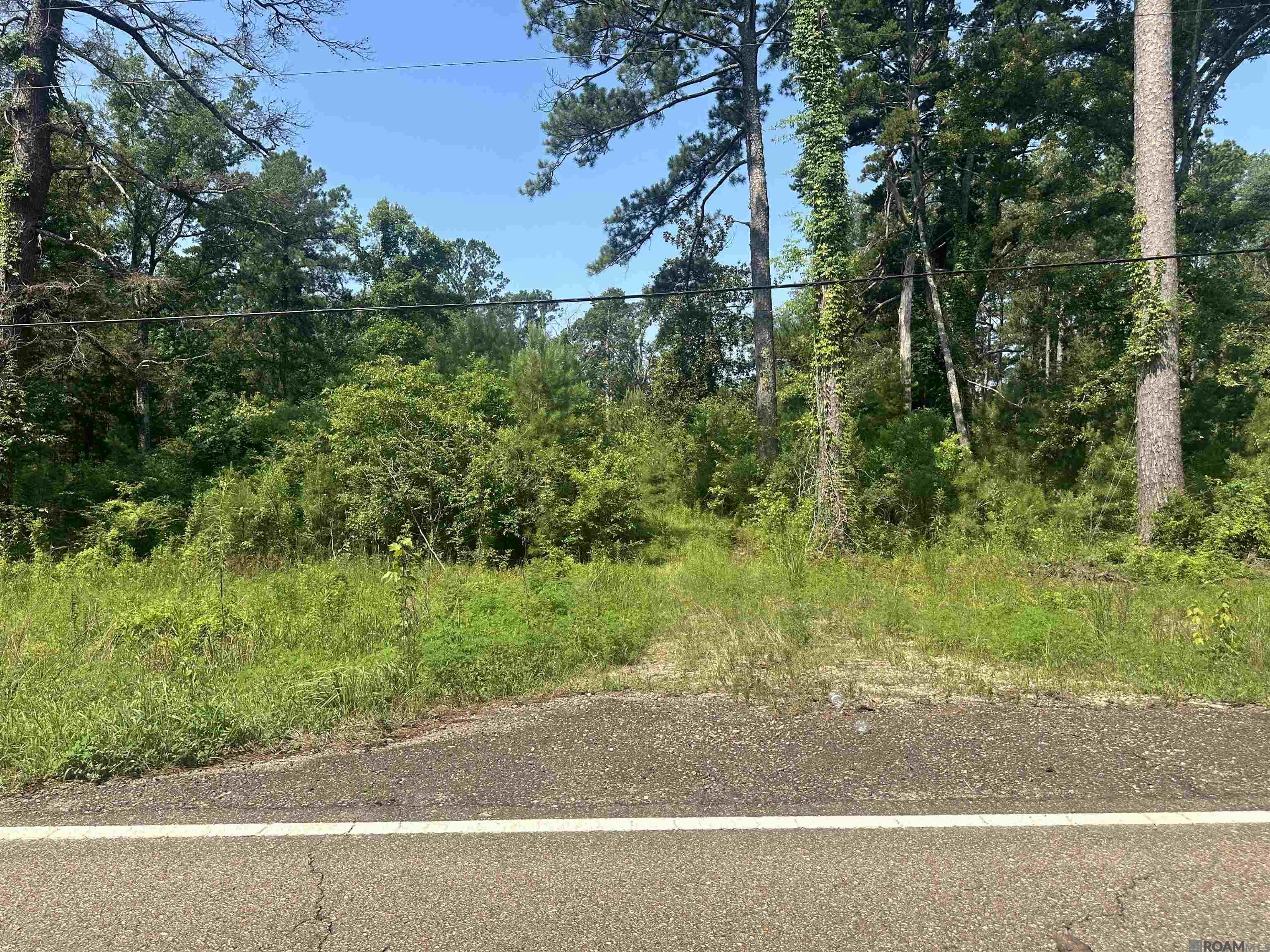 6.31 Acres La Hwy 1036, Holden, Louisiana image 14