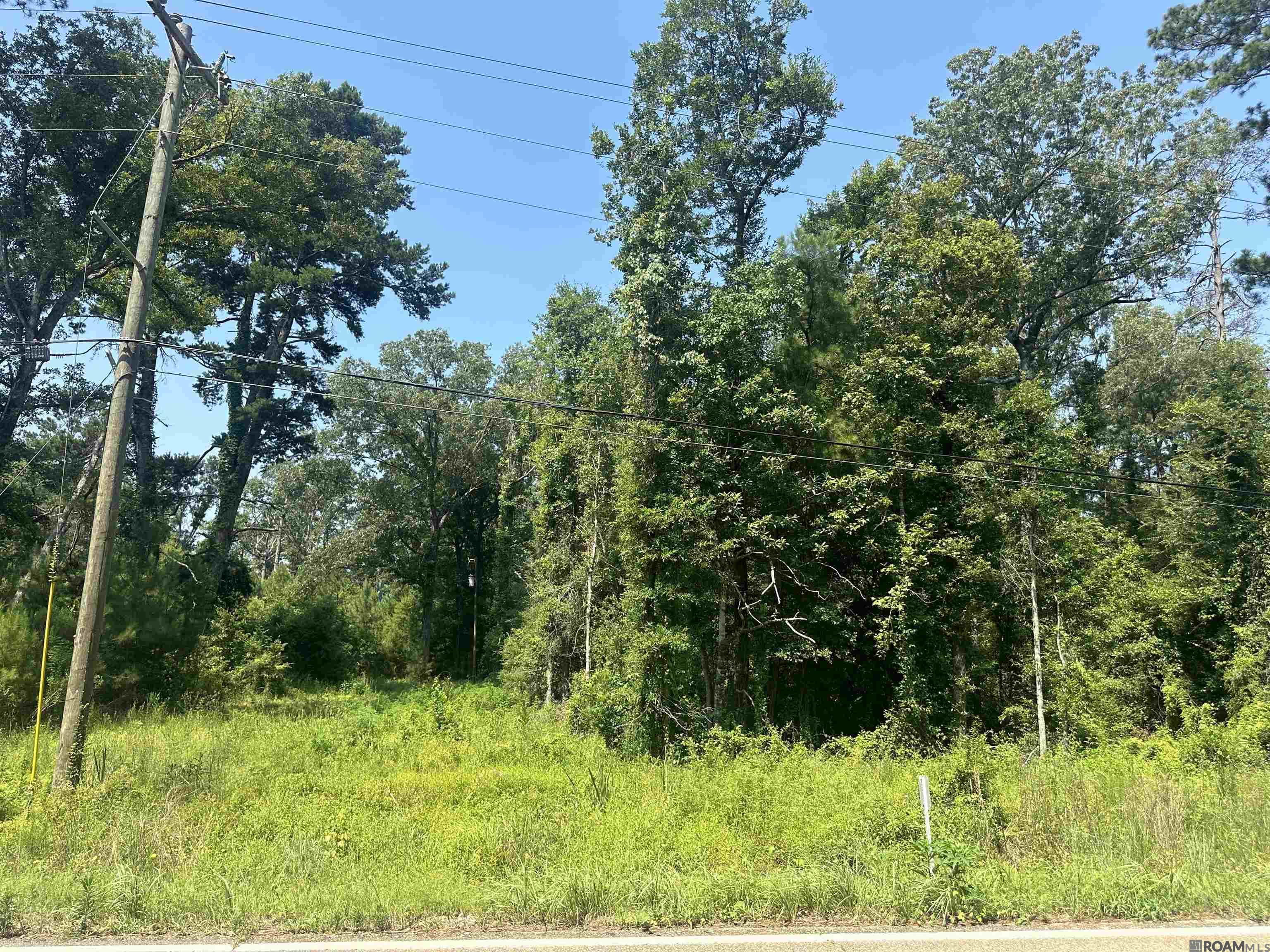 6.31 Acres La Hwy 1036, Holden, Louisiana image 18