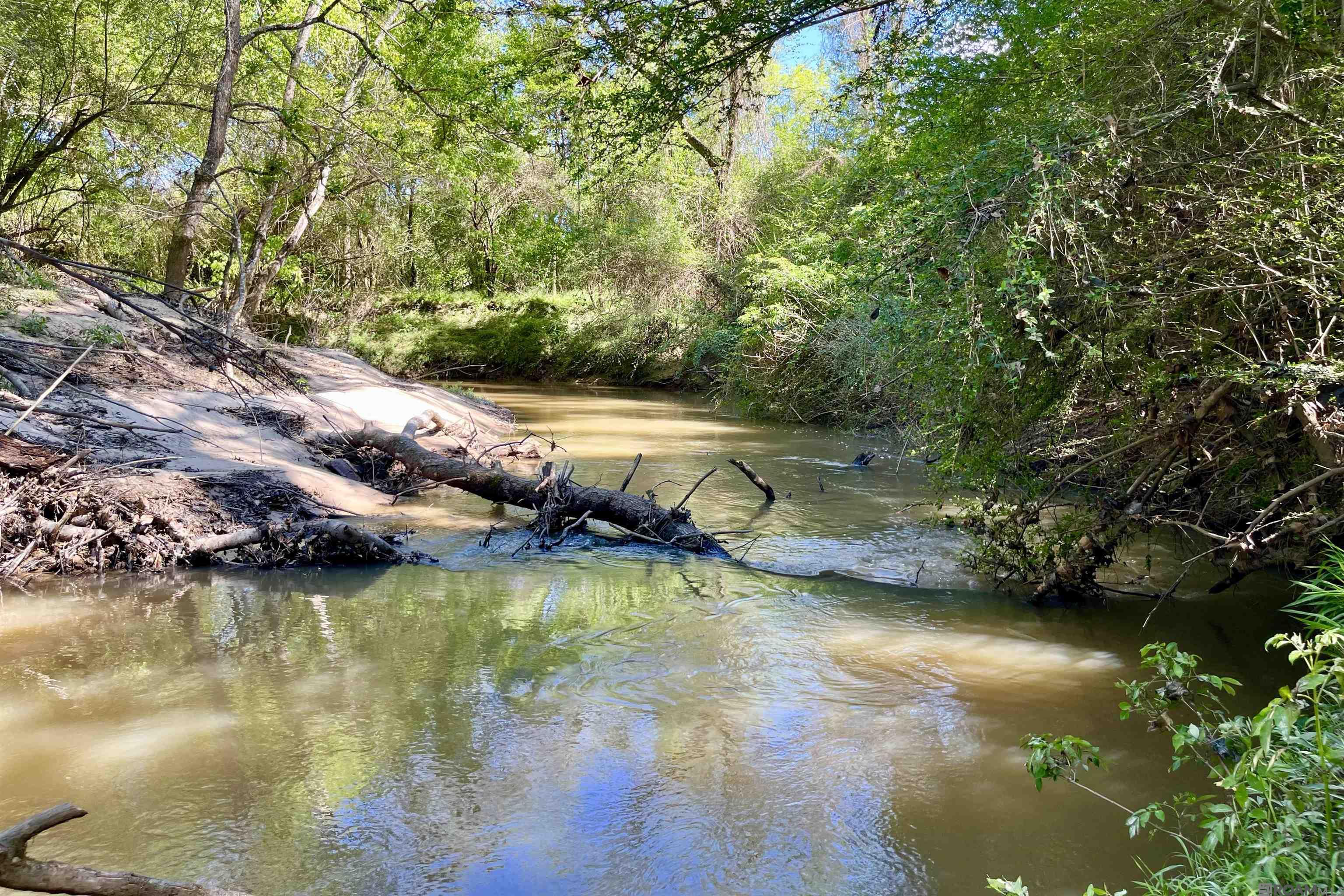 100 La Hwy 422, Norwood, Louisiana image 2