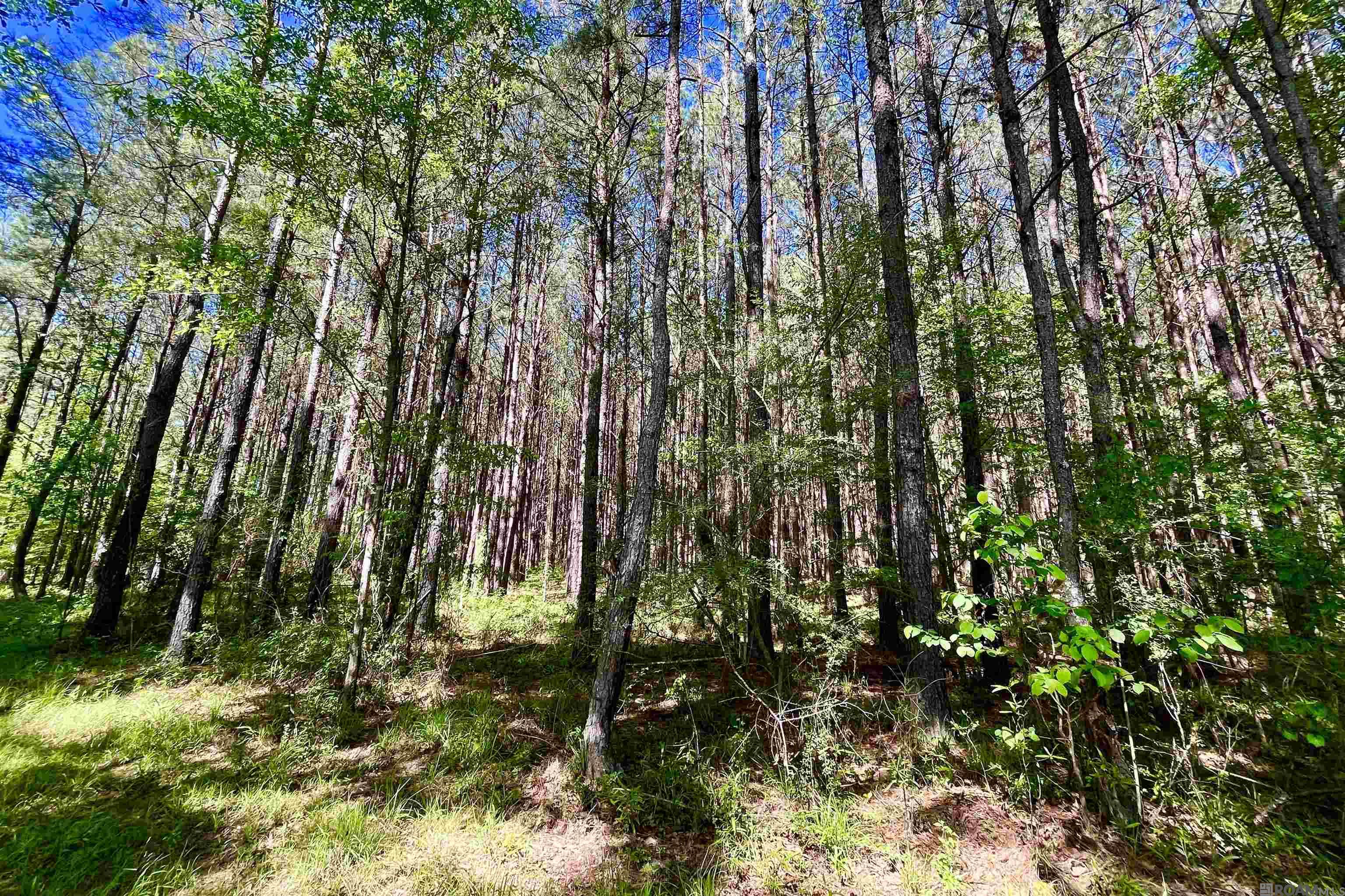100 La Hwy 422, Norwood, Louisiana image 9