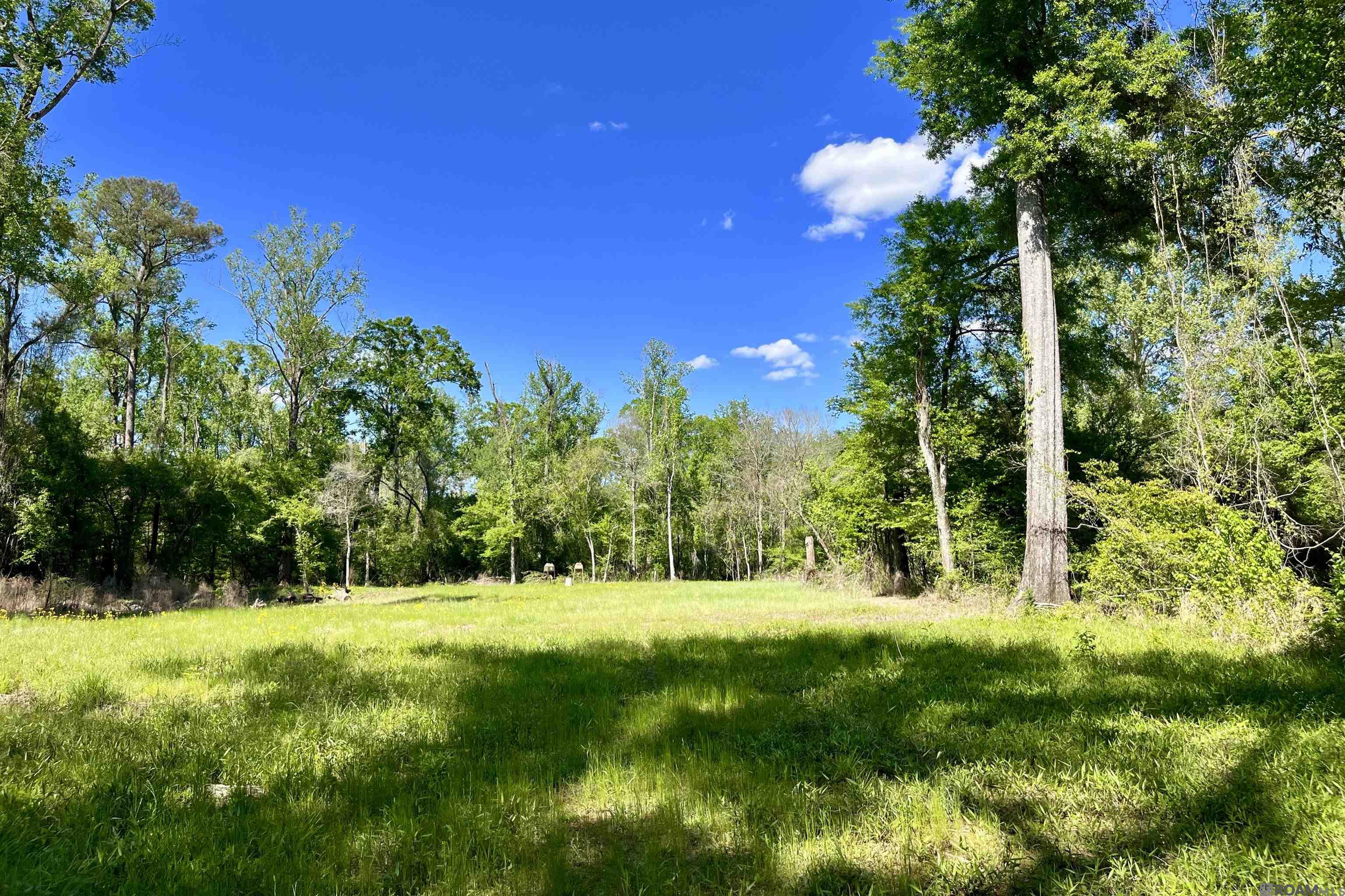 100 La Hwy 422, Norwood, Louisiana image 27