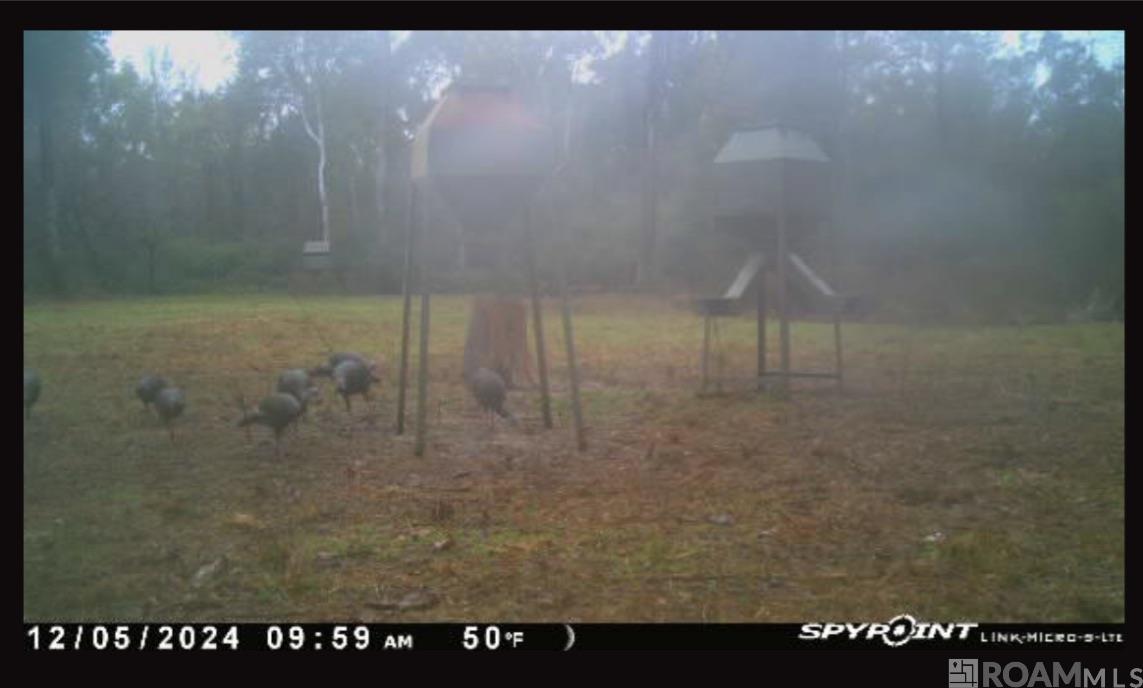 100 La Hwy 422, Norwood, Louisiana image 30