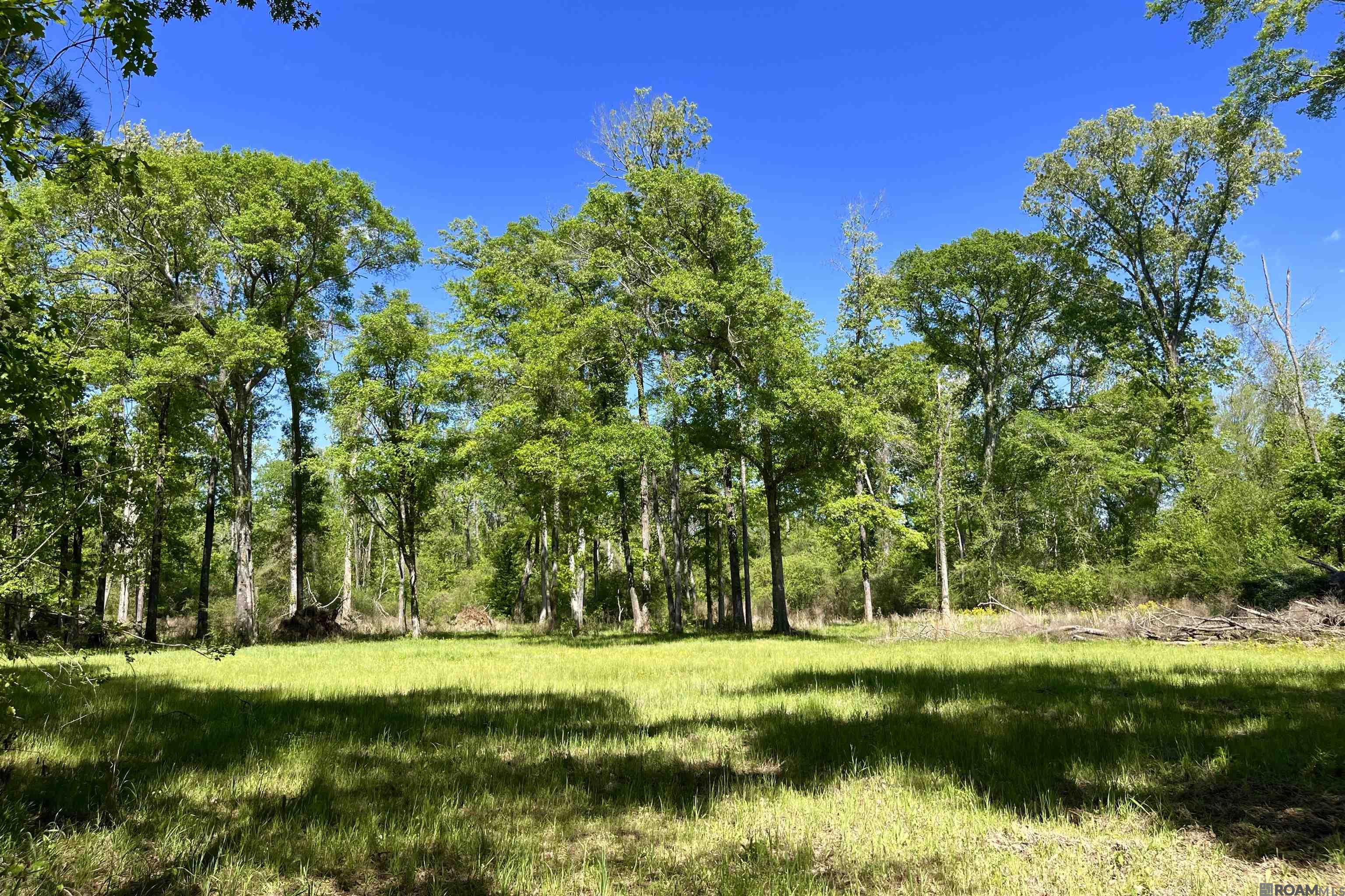 100 La Hwy 422, Norwood, Louisiana image 19