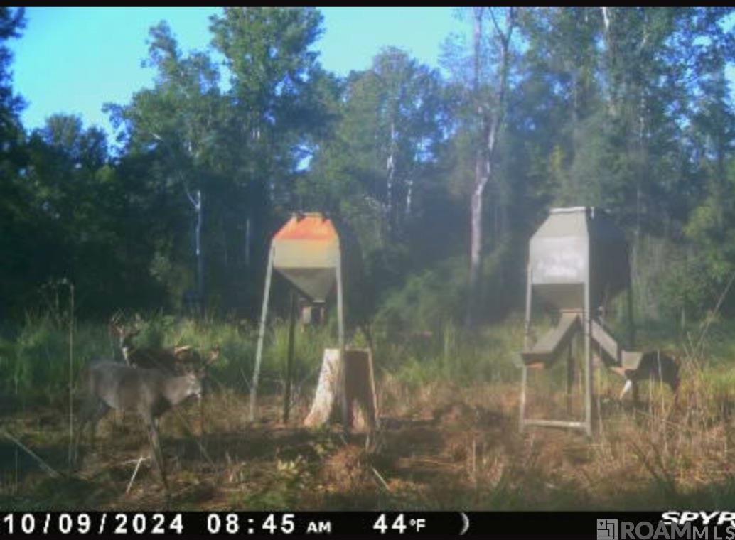 100 La Hwy 422, Norwood, Louisiana image 6