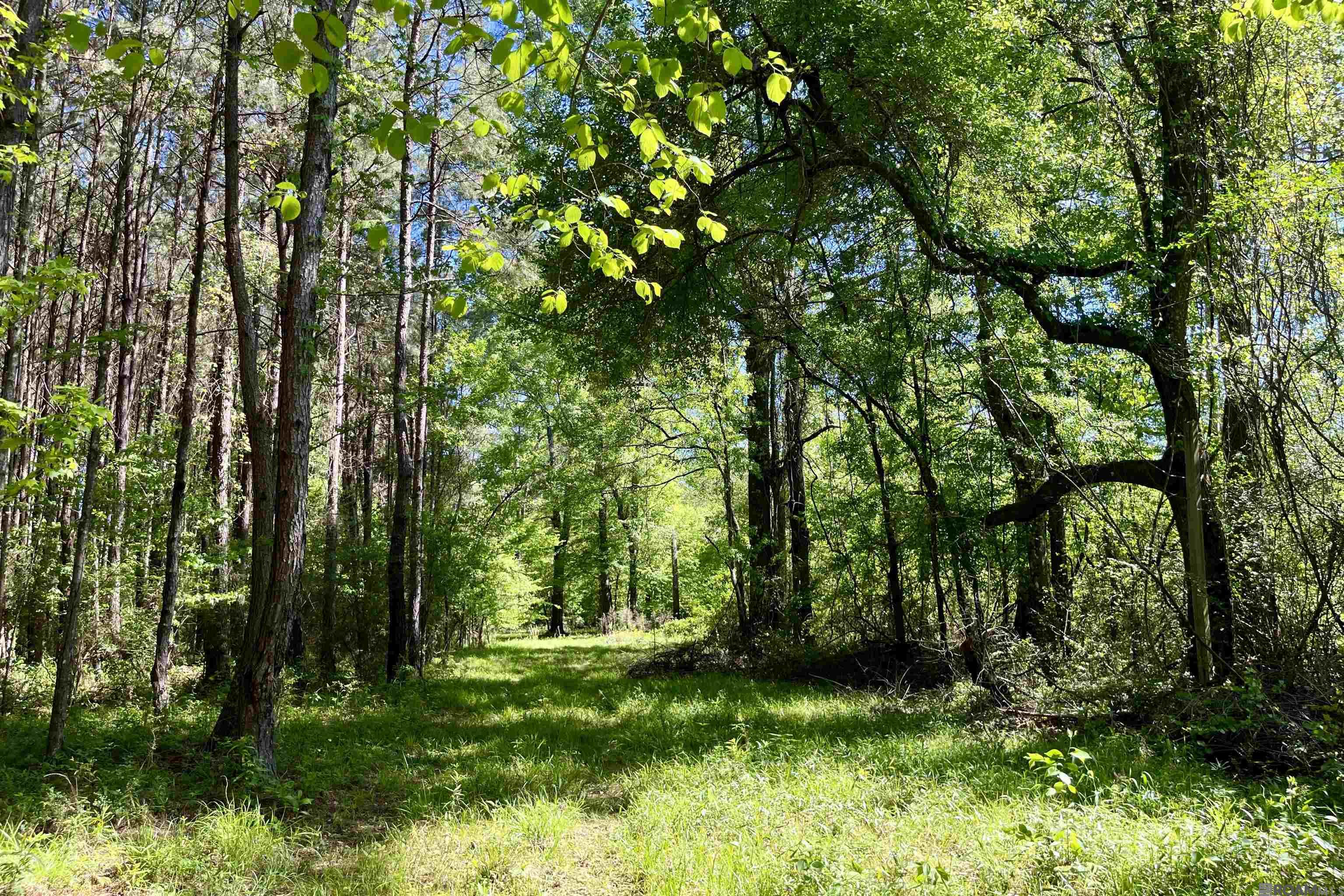 100 La Hwy 422, Norwood, Louisiana image 15