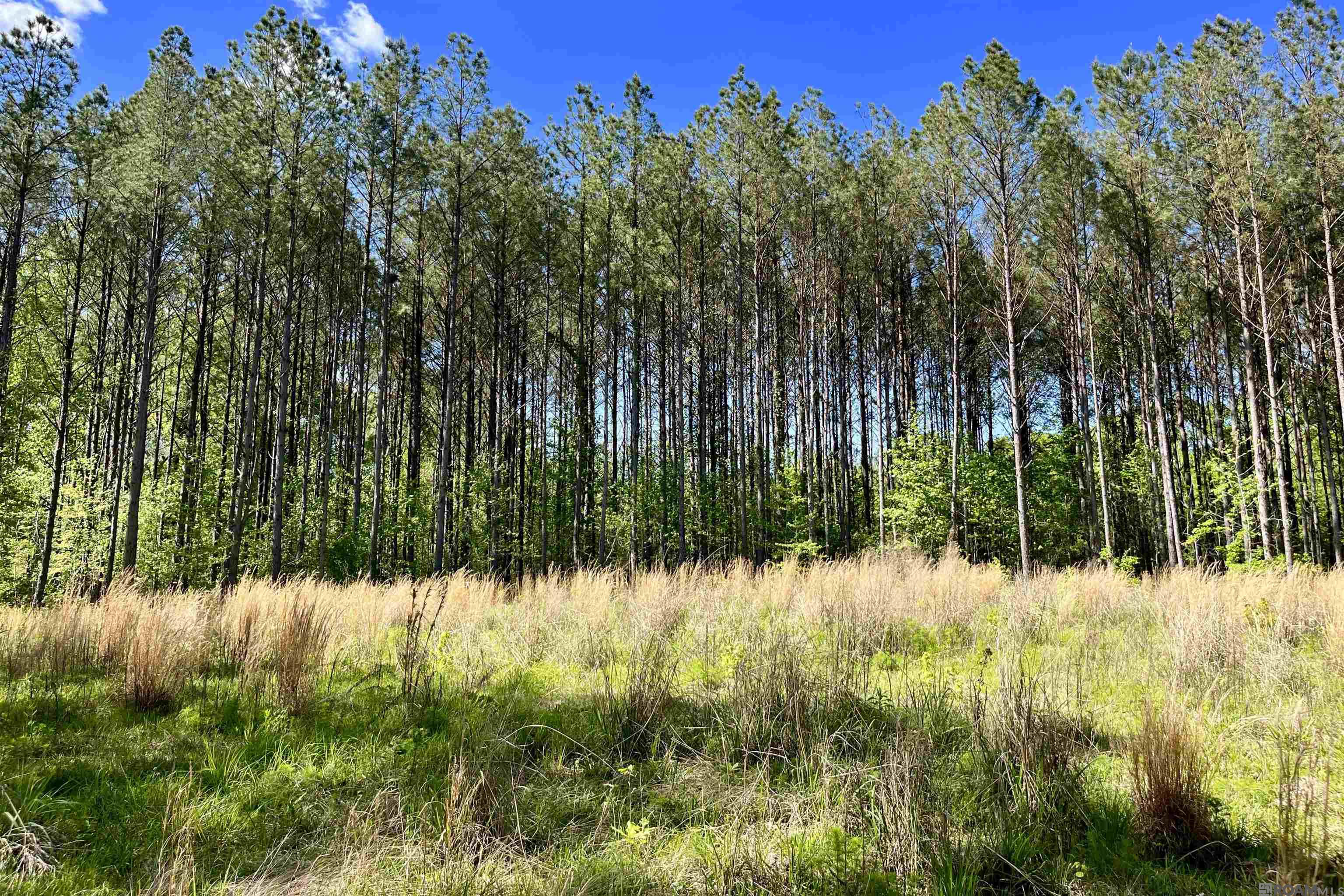 100 La Hwy 422, Norwood, Louisiana image 10