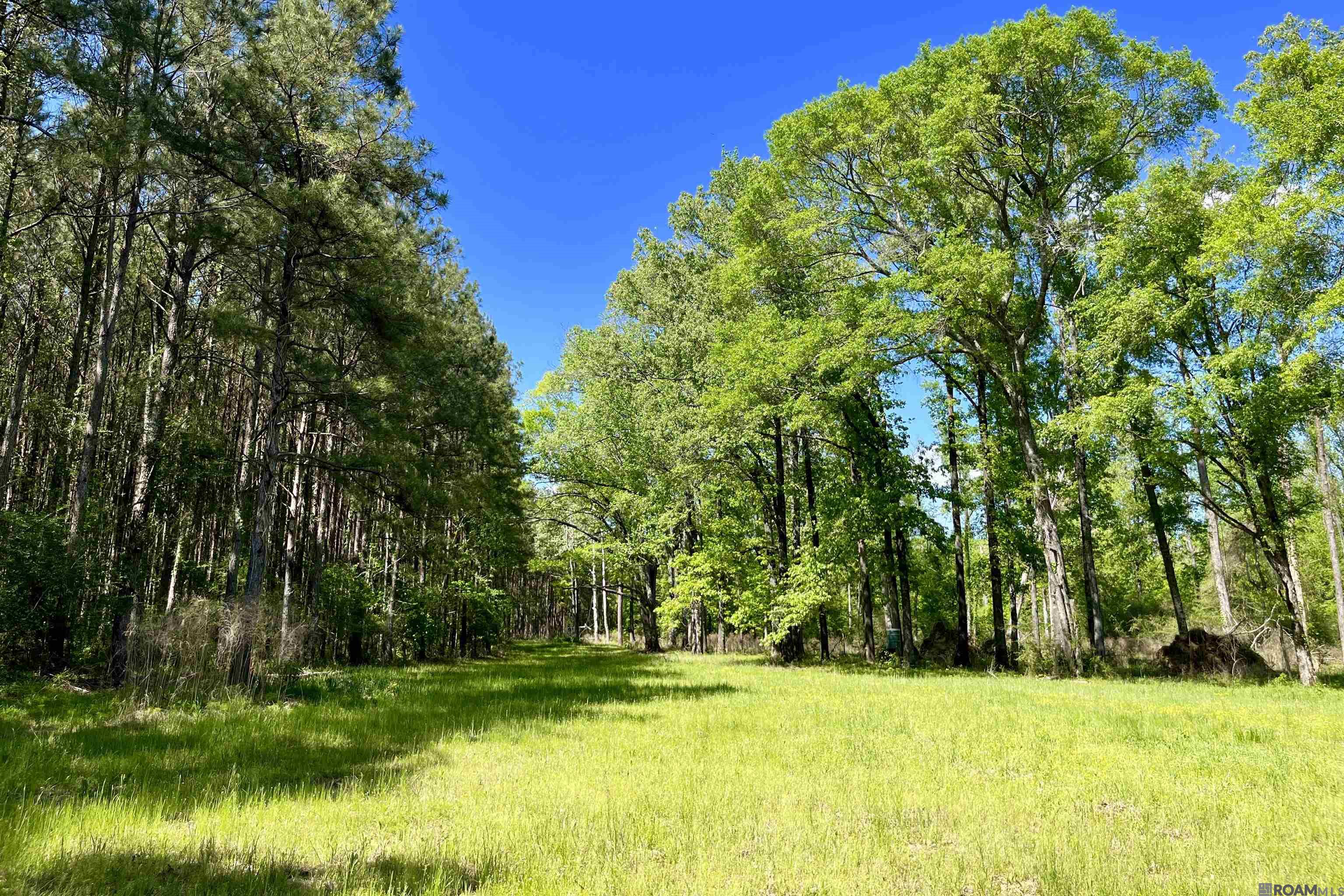 100 La Hwy 422, Norwood, Louisiana image 5