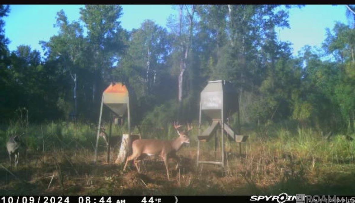 100 La Hwy 422, Norwood, Louisiana image 14