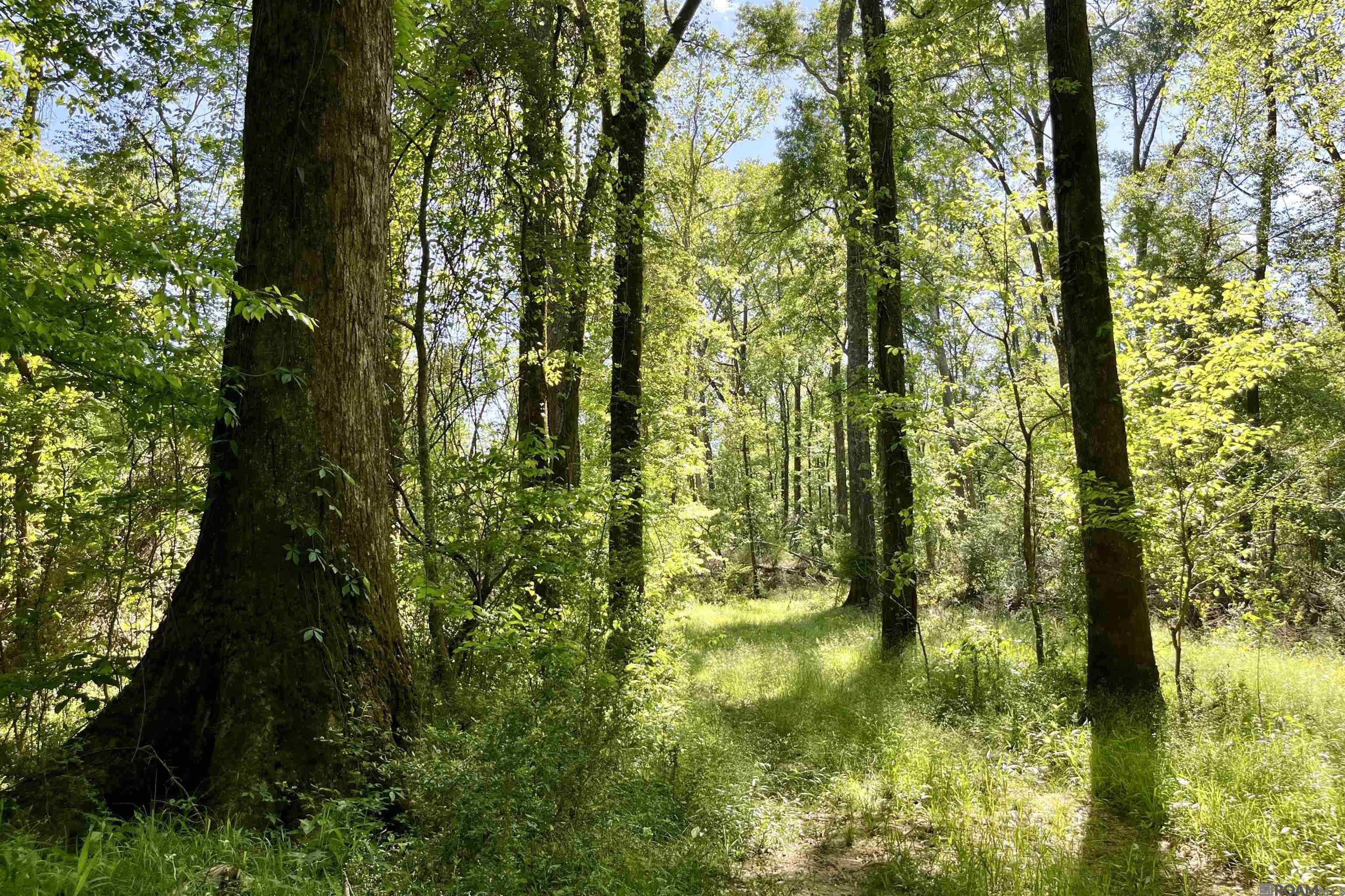 100 La Hwy 422, Norwood, Louisiana image 39
