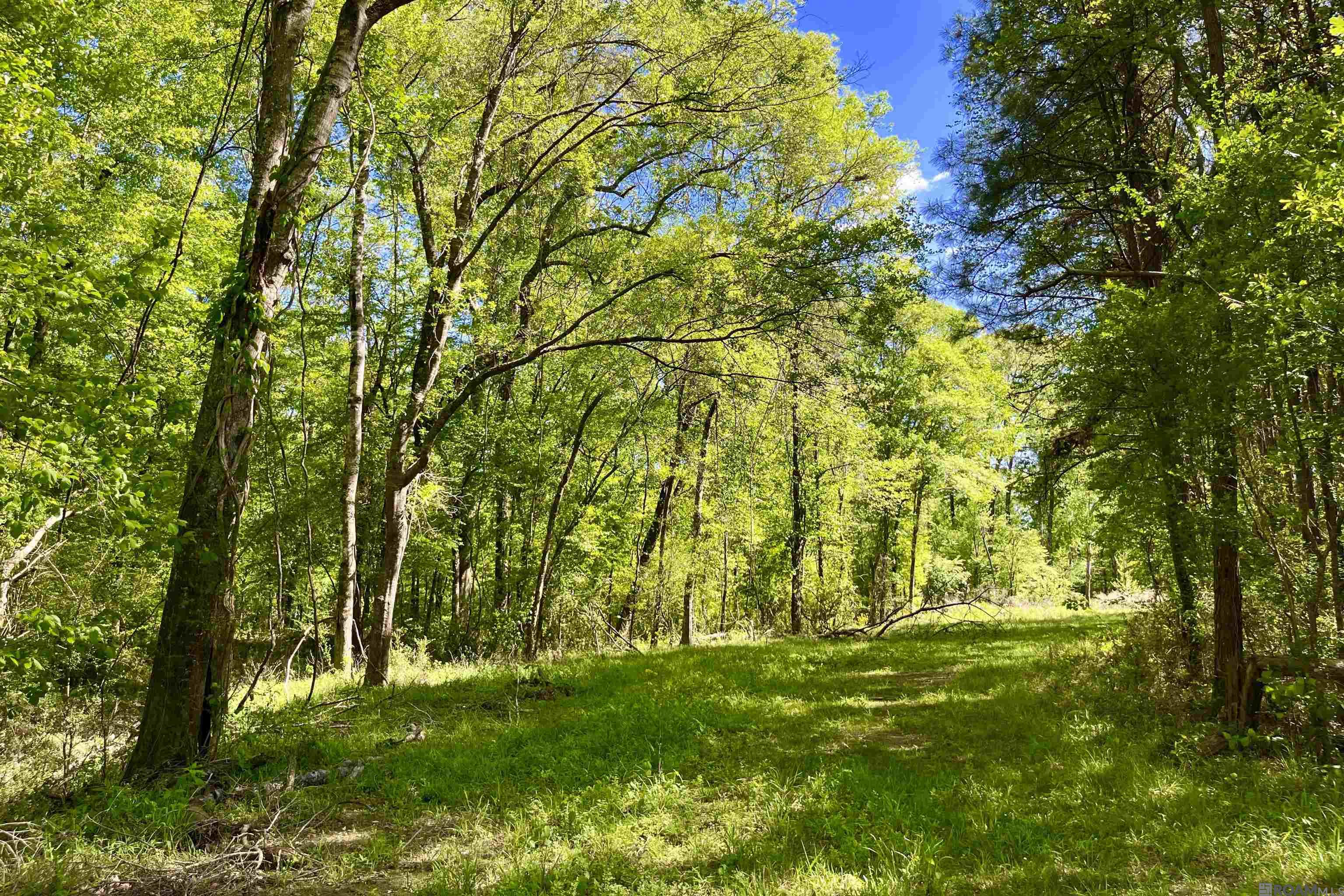 100 La Hwy 422, Norwood, Louisiana image 32