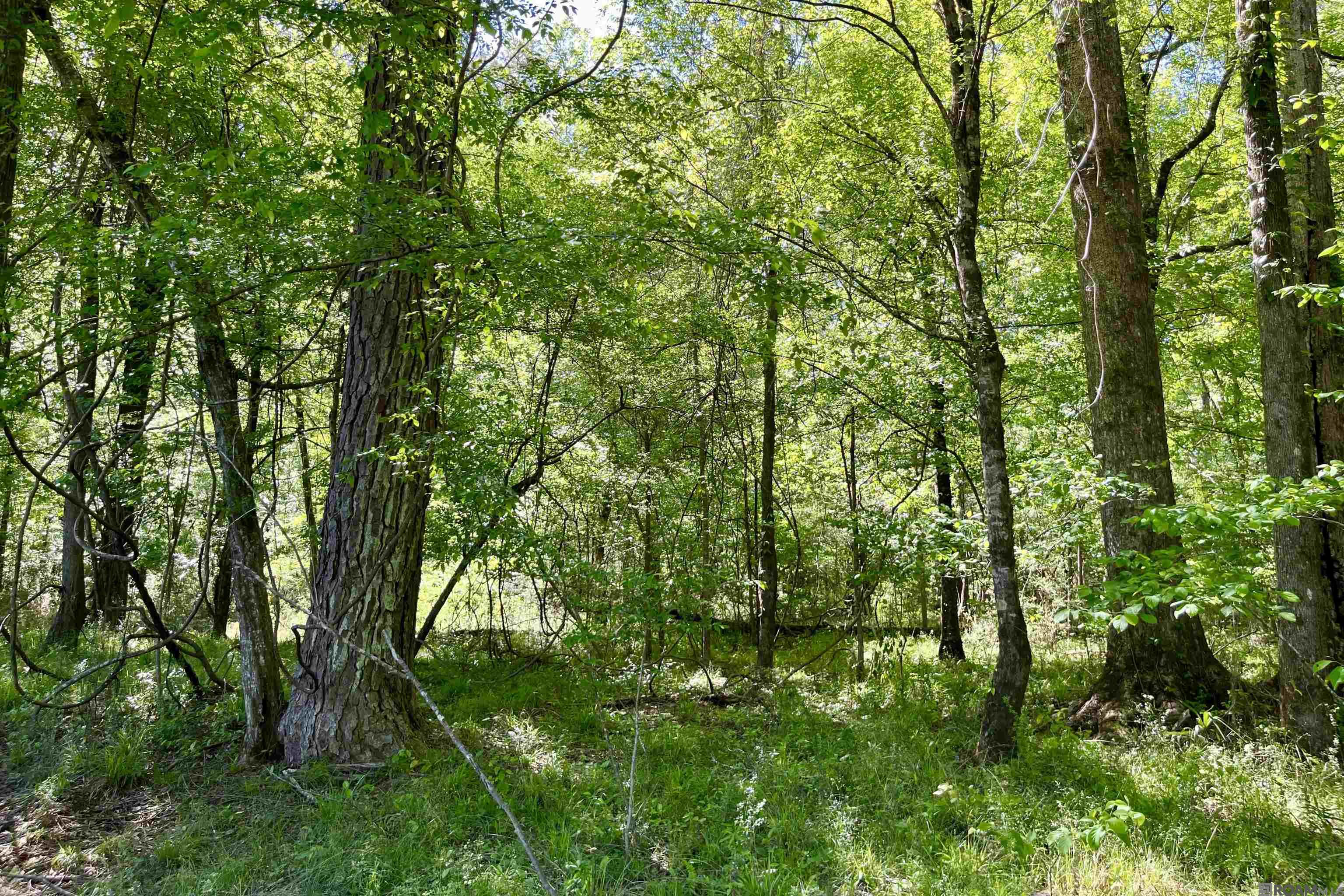 100 La Hwy 422, Norwood, Louisiana image 36
