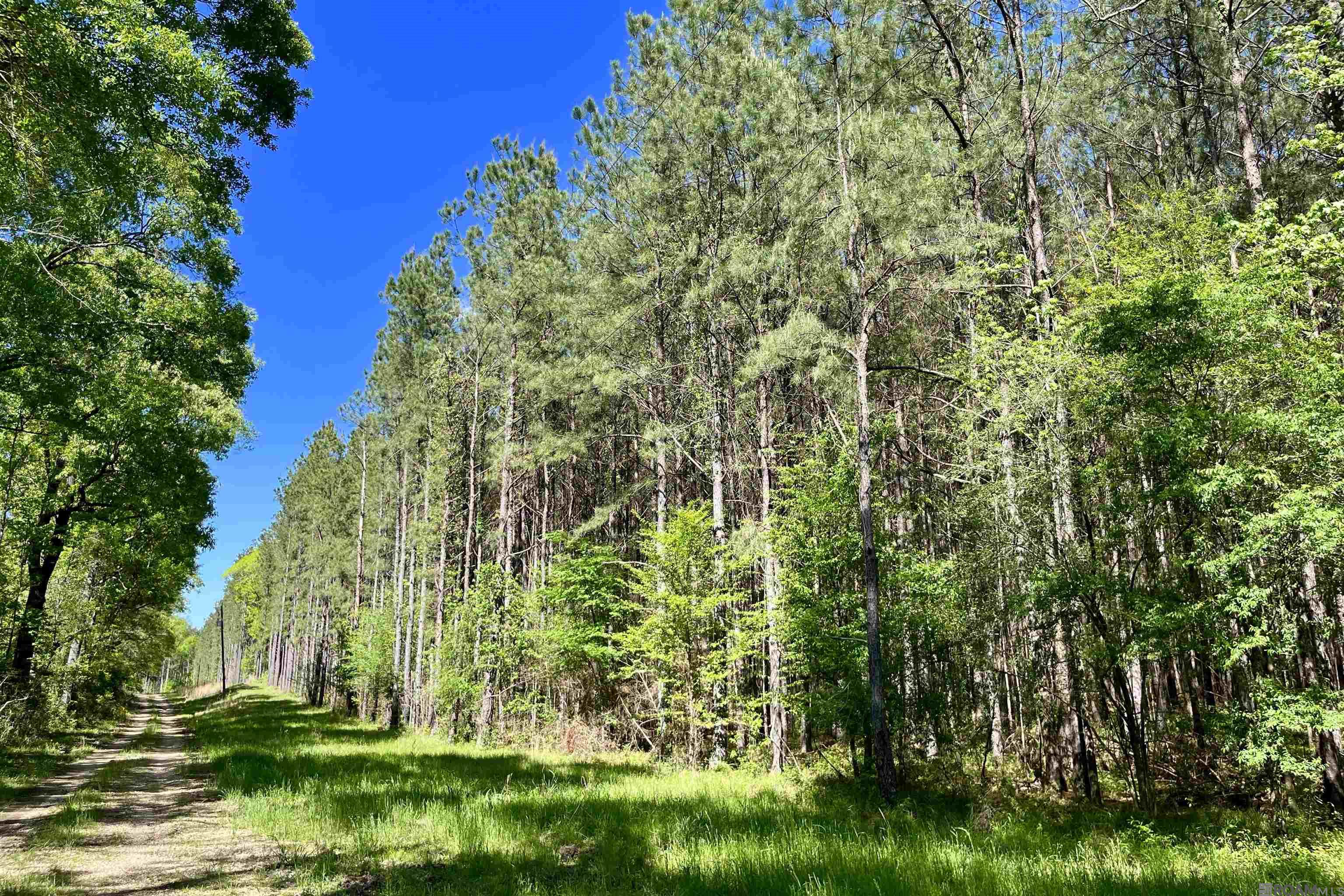 100 La Hwy 422, Norwood, Louisiana image 3