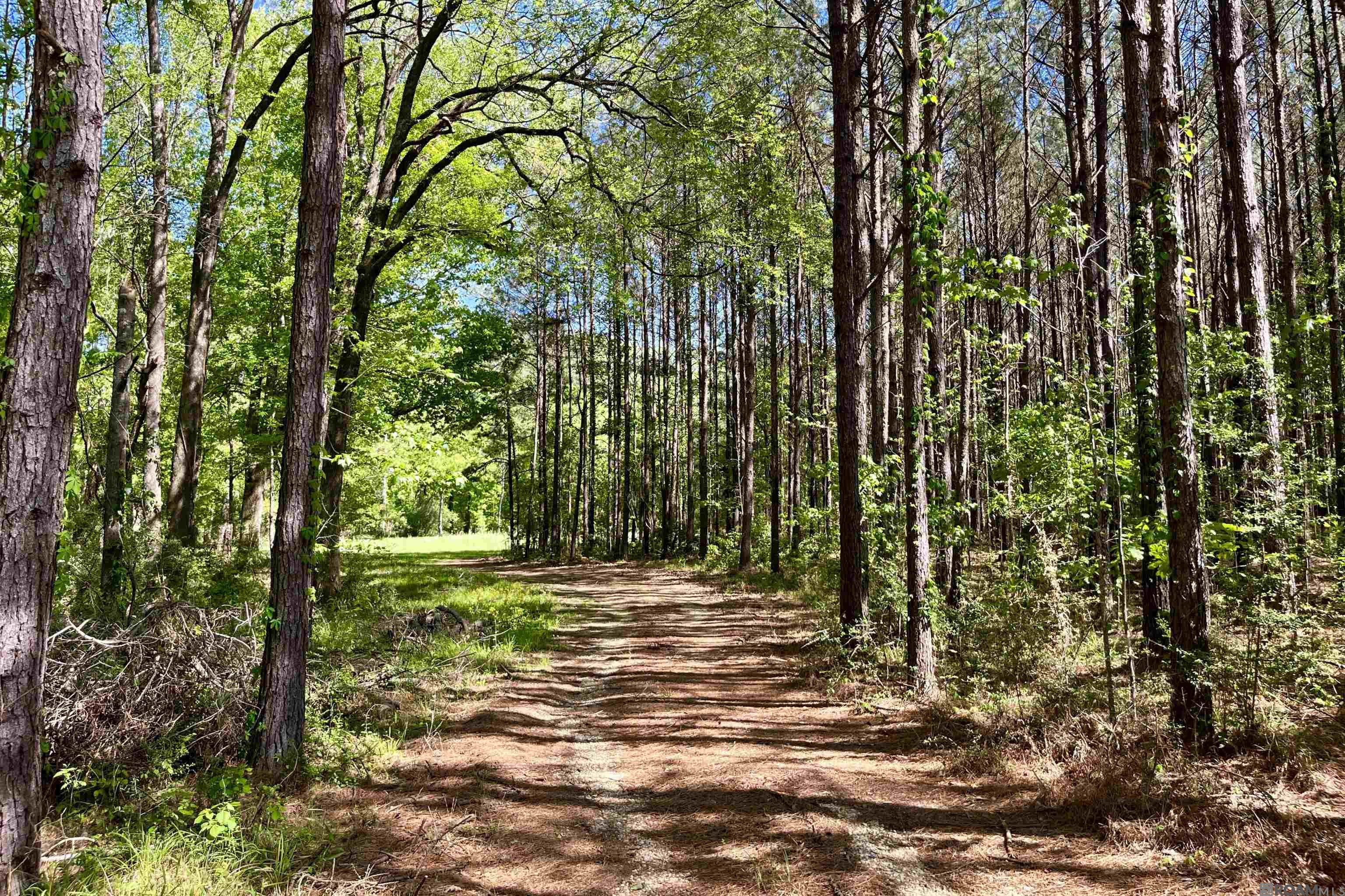 100 La Hwy 422, Norwood, Louisiana image 24
