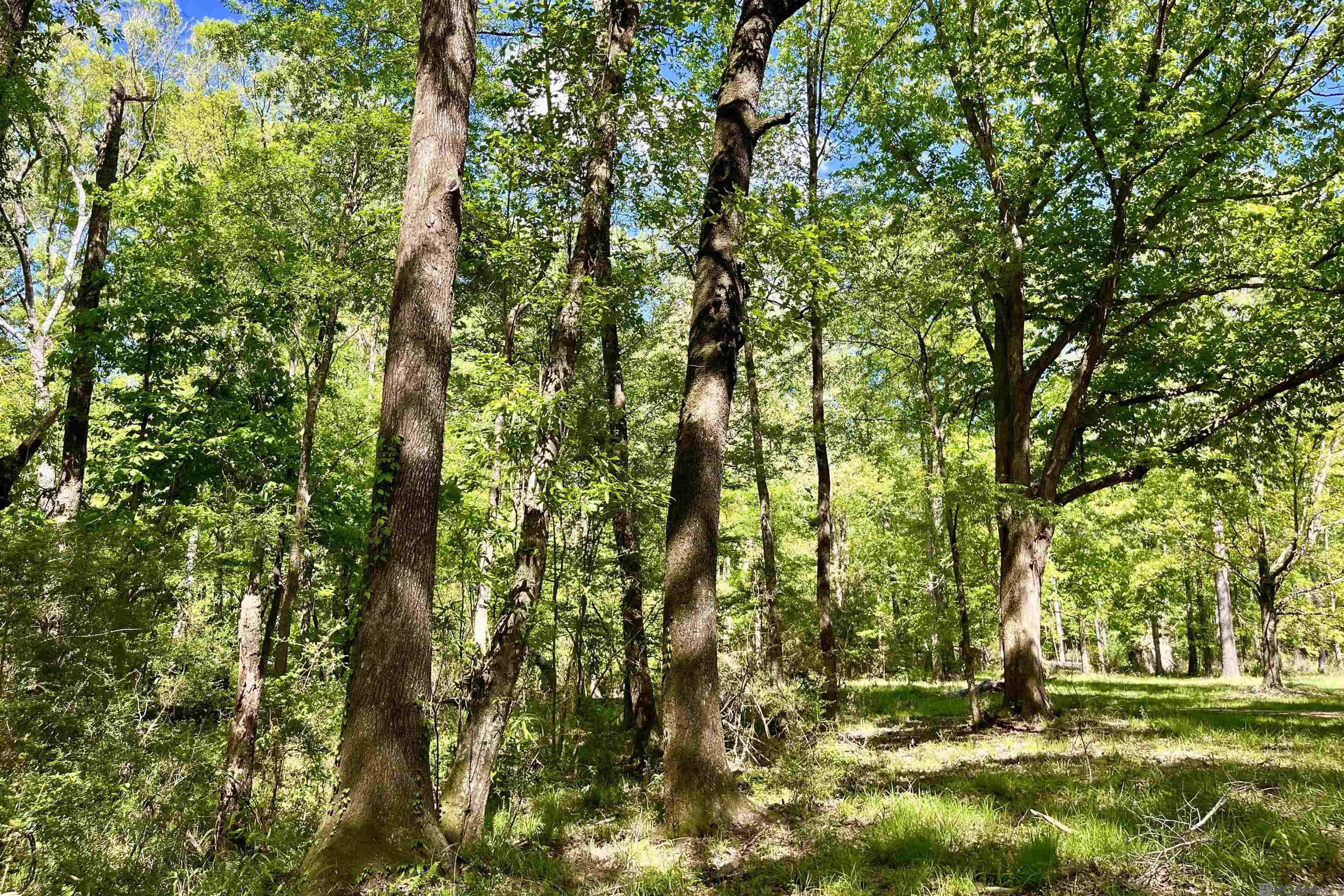 100 La Hwy 422, Norwood, Louisiana image 29