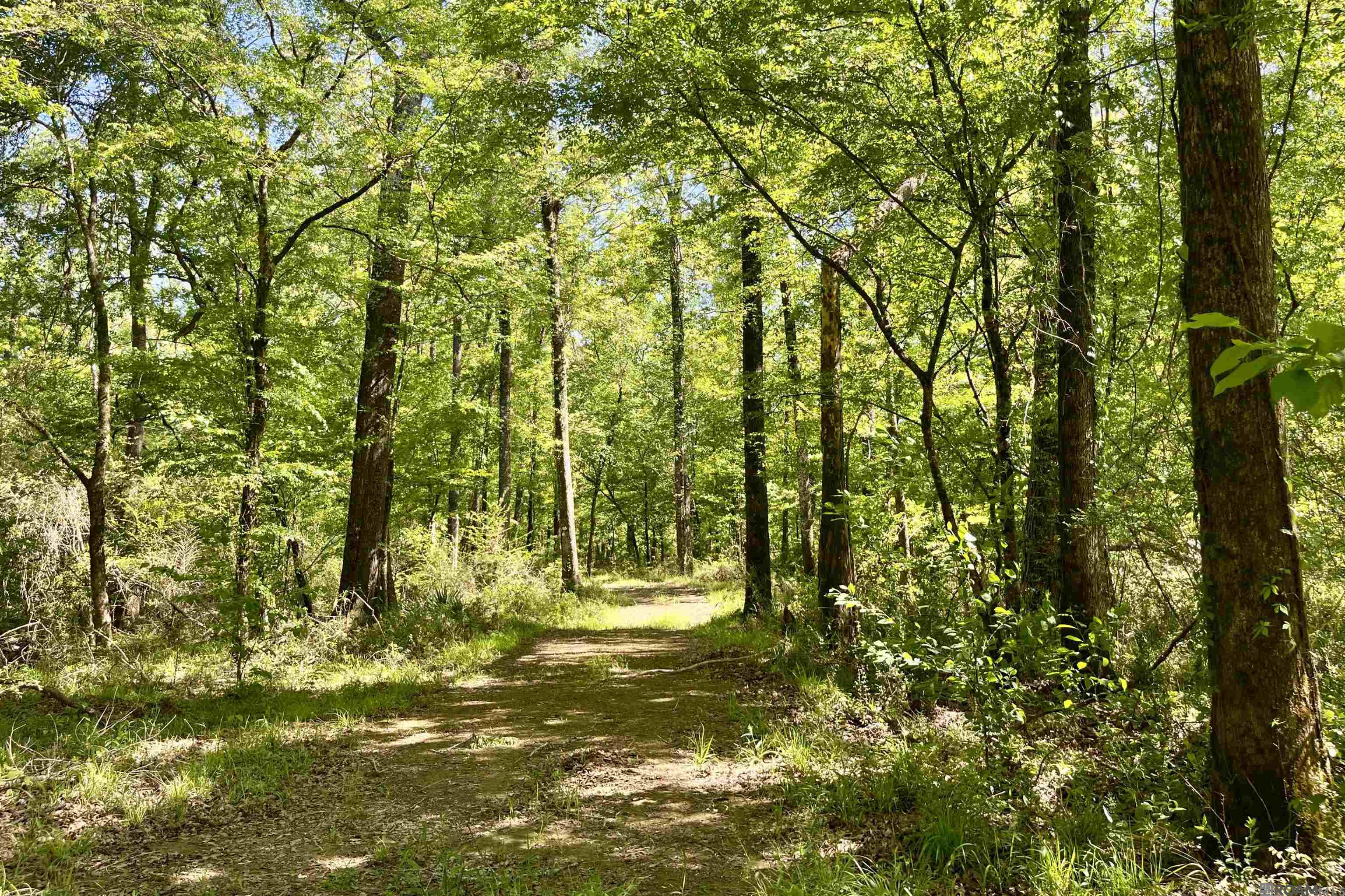100 La Hwy 422, Norwood, Louisiana image 33